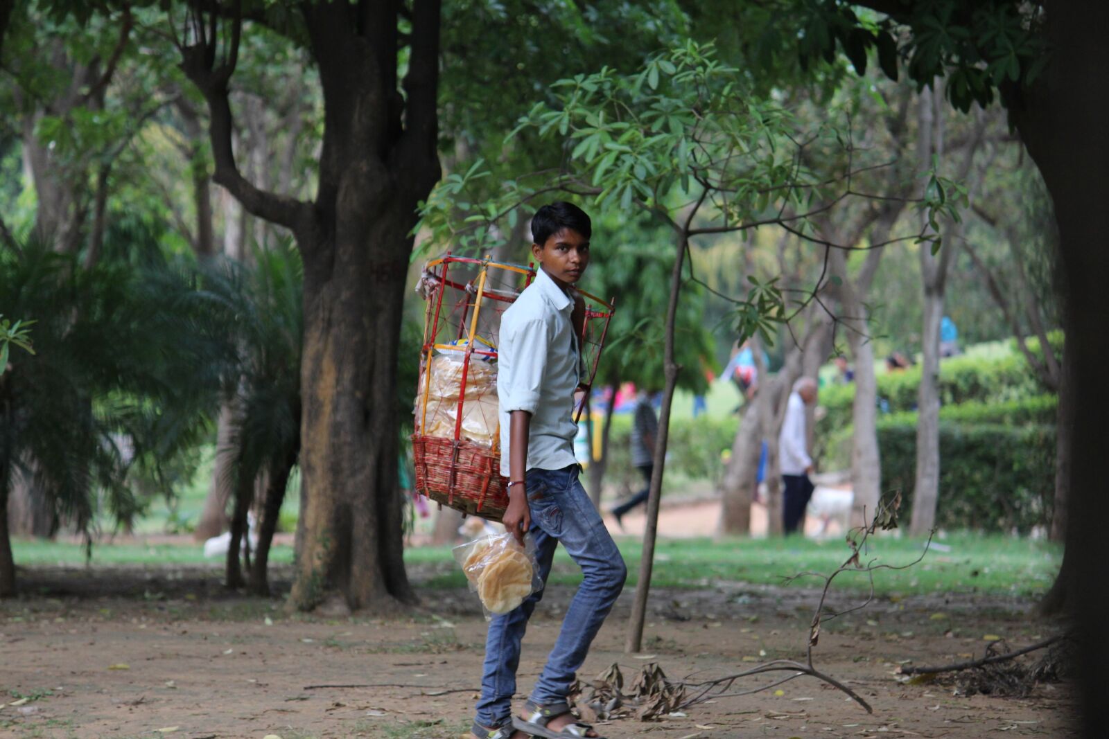 Canon EOS 700D (EOS Rebel T5i / EOS Kiss X7i) sample photo. Local seller, indian, small photography