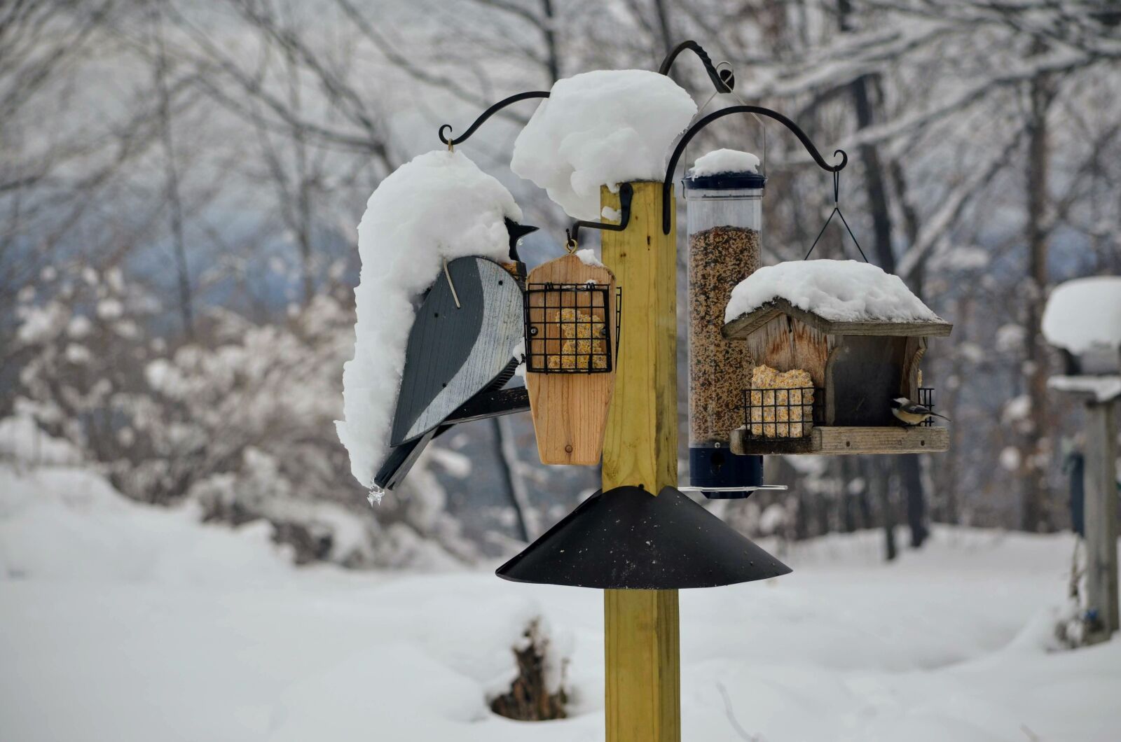 Nikon D5100 sample photo. Winter, vermont, craftsbury photography