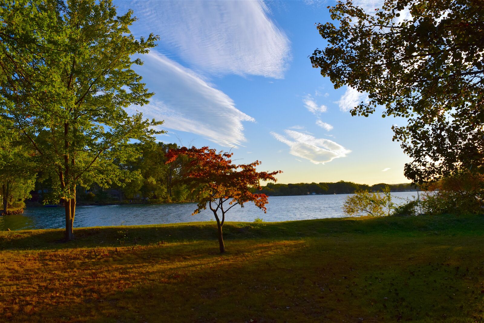 Nikon D3300 sample photo. Tree, lake, sunset photography