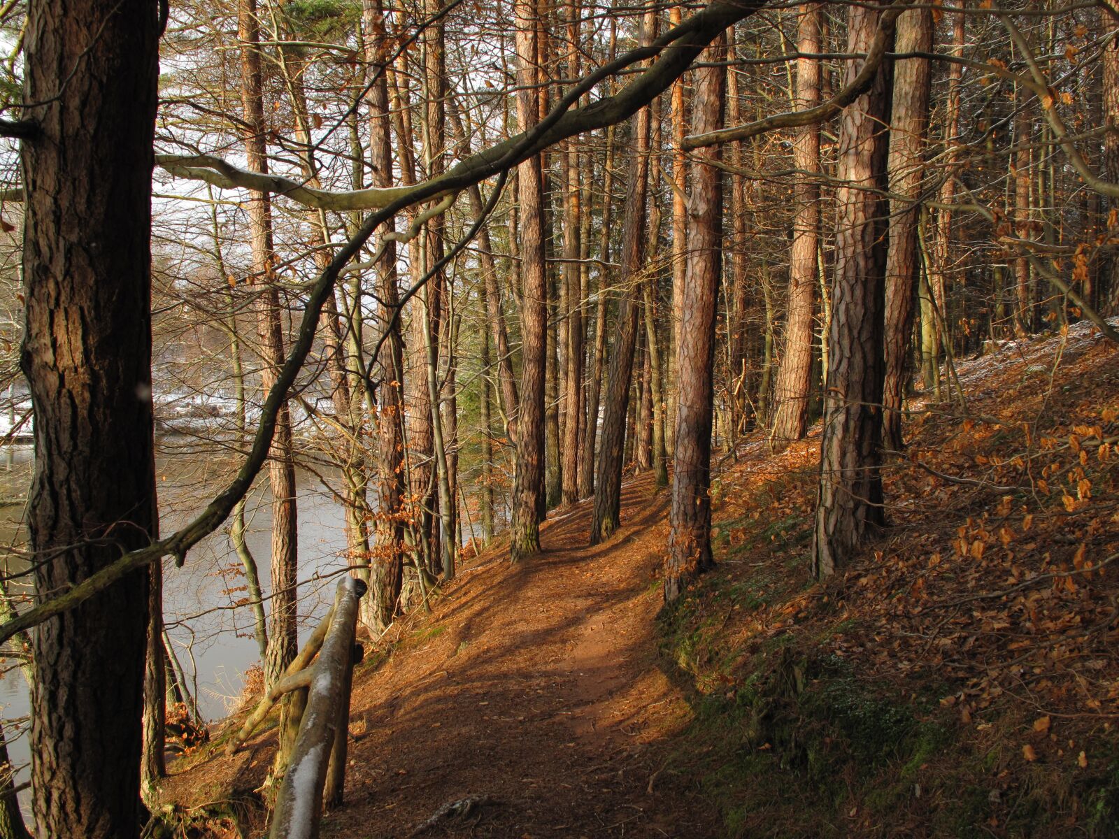 Canon PowerShot G10 sample photo. Forest, trees, lake photography
