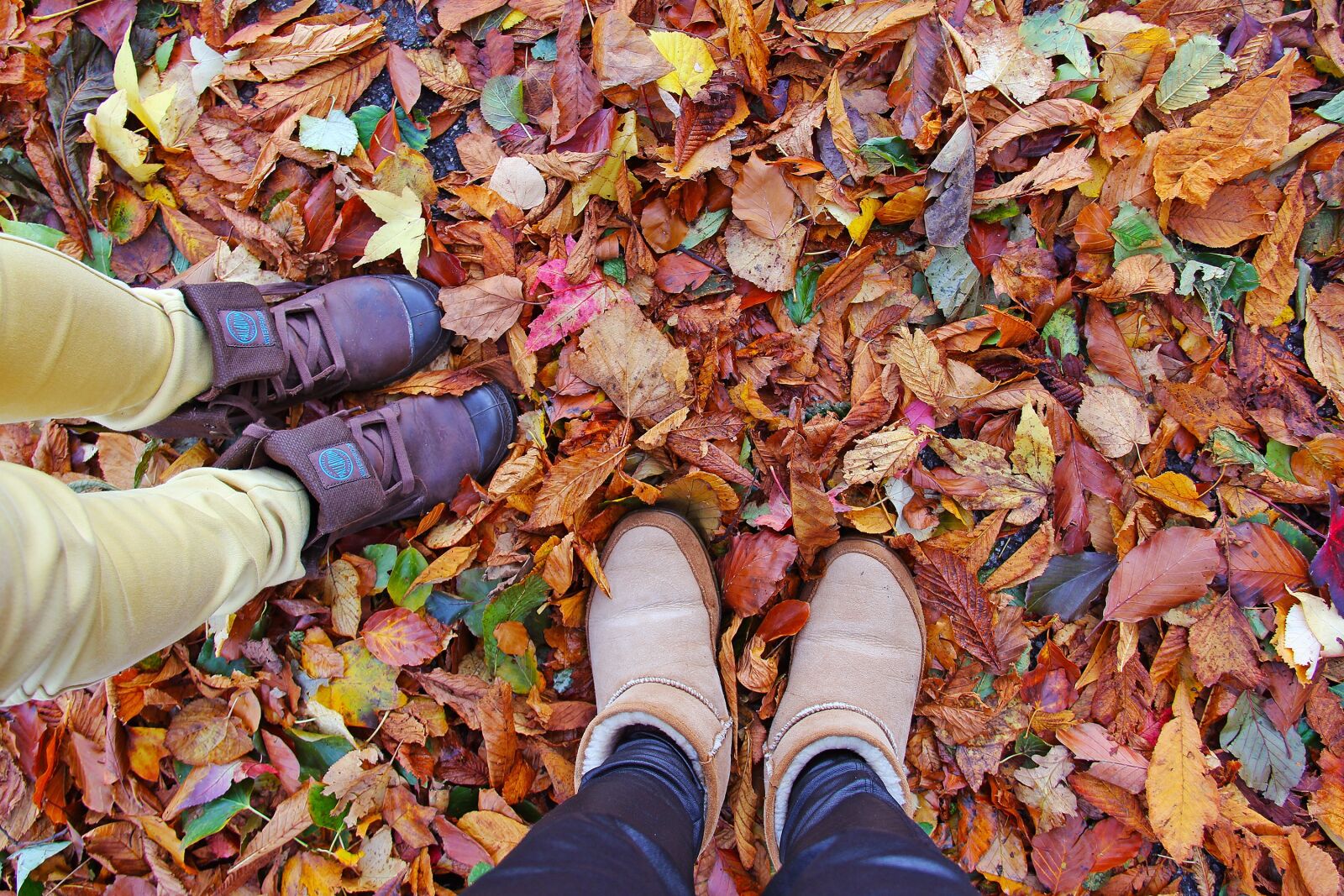 Canon EF-S 18-200mm F3.5-5.6 IS sample photo. Shoe, enjoy, fall photography