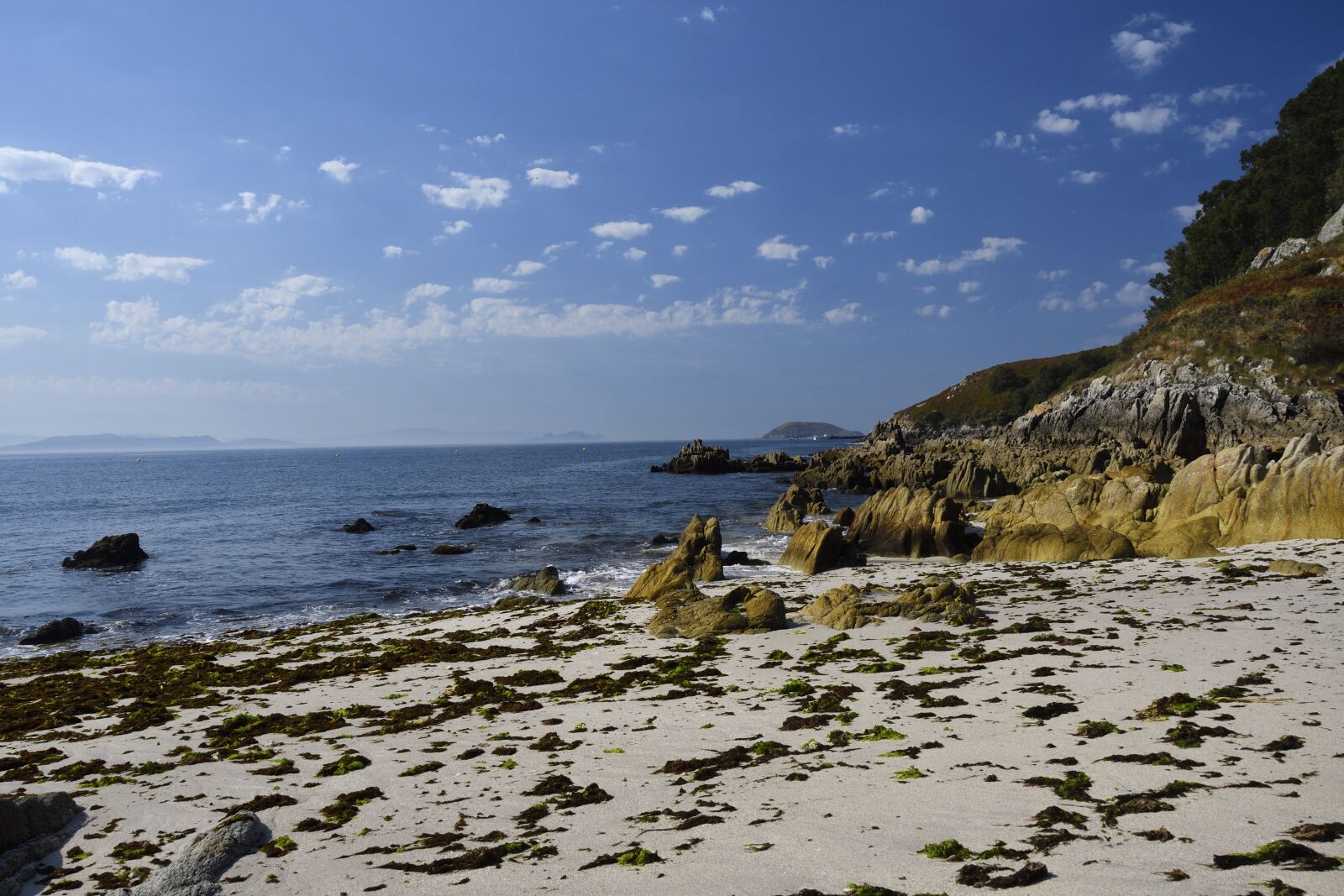 Nikon D500 sample photo. Melide beach, galicia, ons photography
