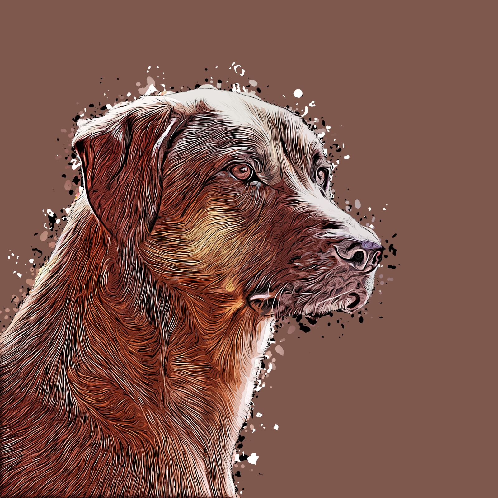 Canon EOS 700D (EOS Rebel T5i / EOS Kiss X7i) sample photo. Dog, portrait, drawing photography