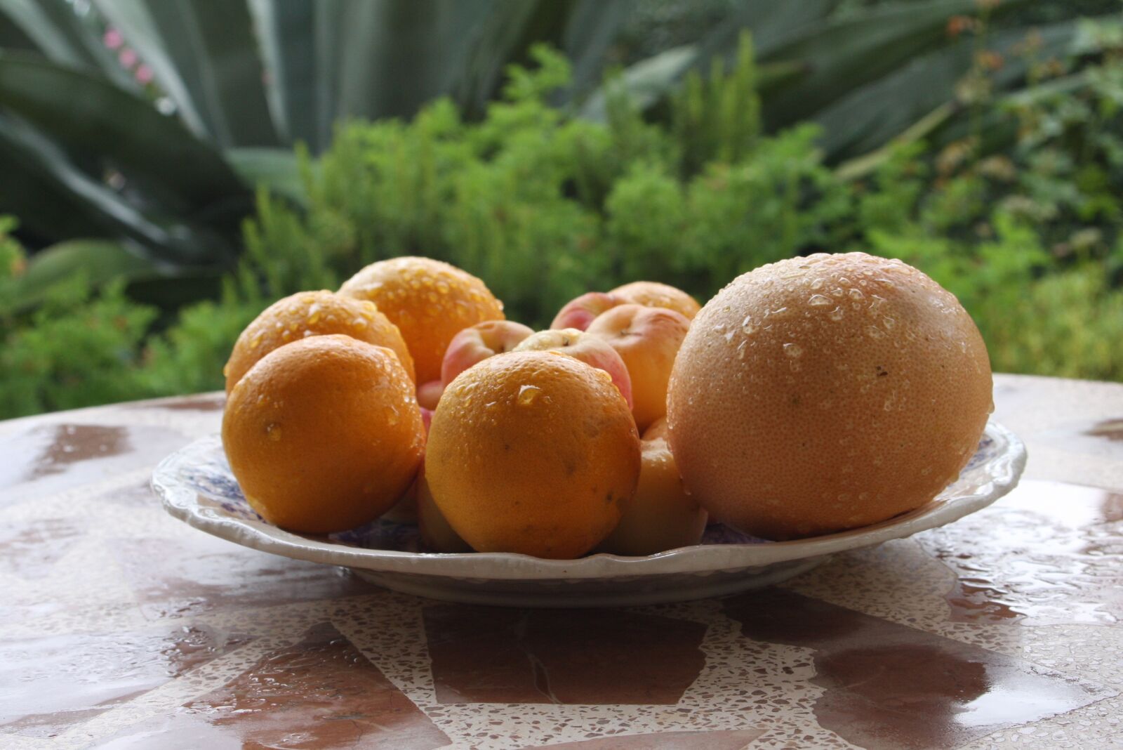 Canon EOS 40D sample photo. Food, healthy, oranges photography