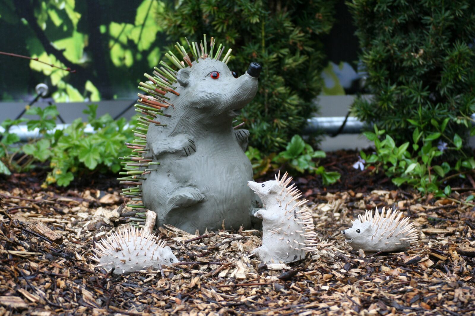 Canon EOS 350D (EOS Digital Rebel XT / EOS Kiss Digital N) sample photo. Hedgehog, family, children photography