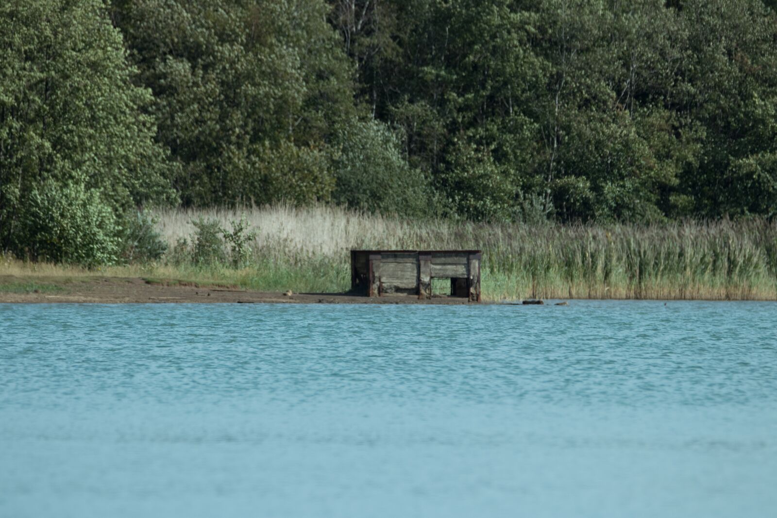 150-600mm F5-6.3 DG OS HSM | Contemporary 015 sample photo. Lake, web, bank photography