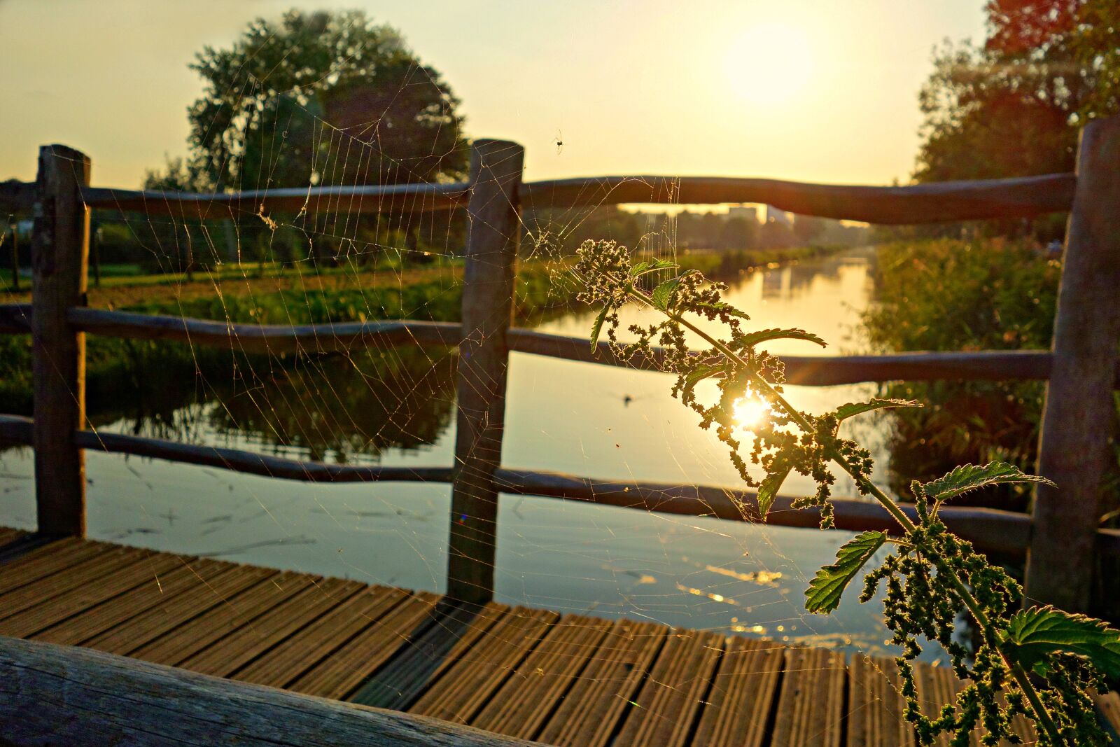 Sony Cyber-shot DSC-RX100 sample photo. Pathway, bridge, wood photography