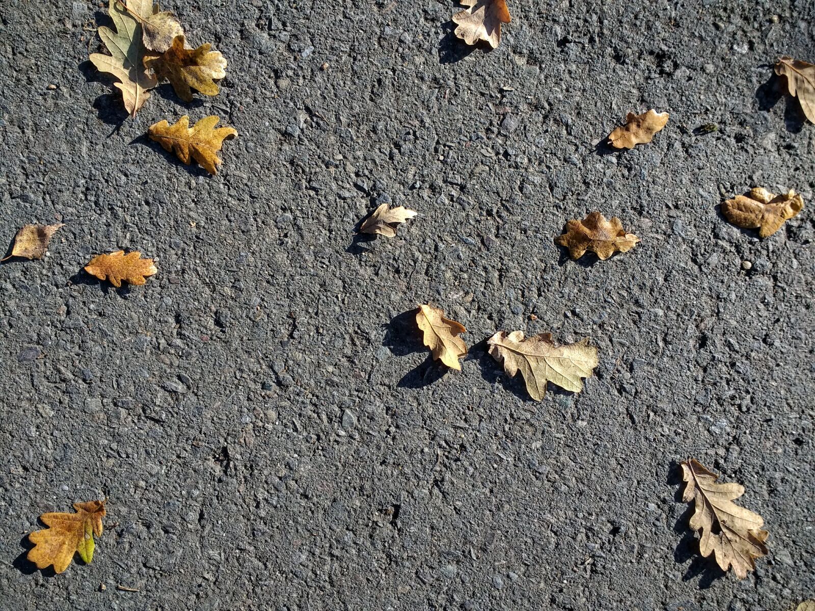 Motorola Moto G (4) sample photo. Autumn, leaves, road photography