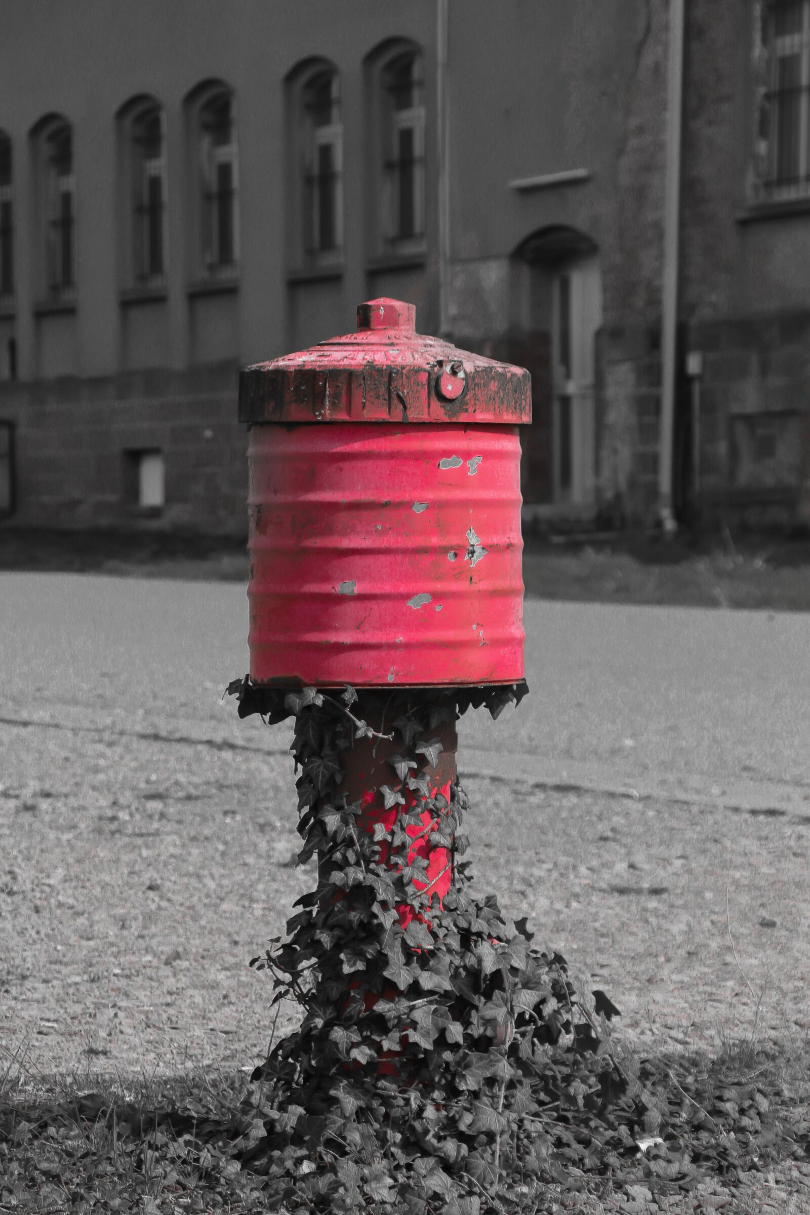 Canon EOS 700D (EOS Rebel T5i / EOS Kiss X7i) sample photo. Hydrant, red, firefighter hydrant photography
