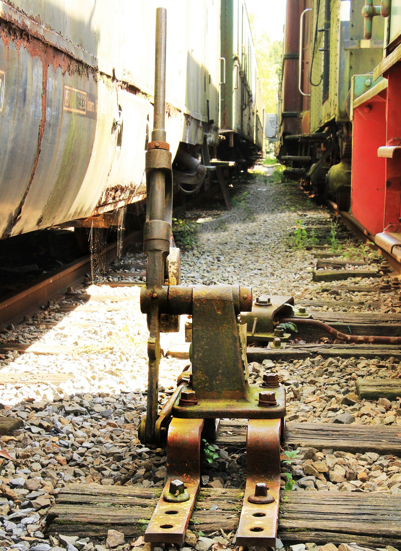 Canon EOS 550D (EOS Rebel T2i / EOS Kiss X4) sample photo. Trains, train cemetery, zughalde photography
