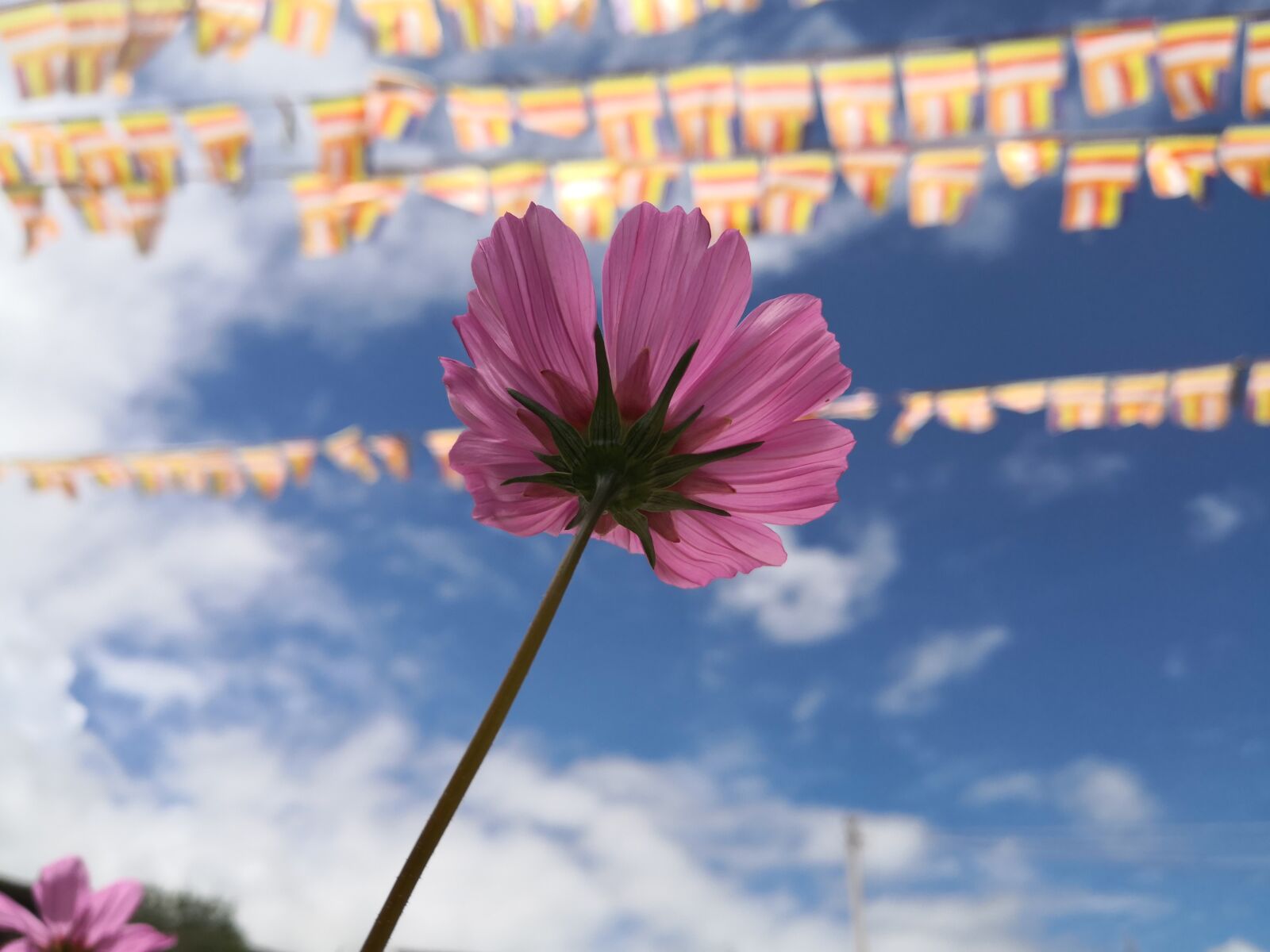 HUAWEI Mate 10 sample photo. Gesanghua, temple, resolution by photography