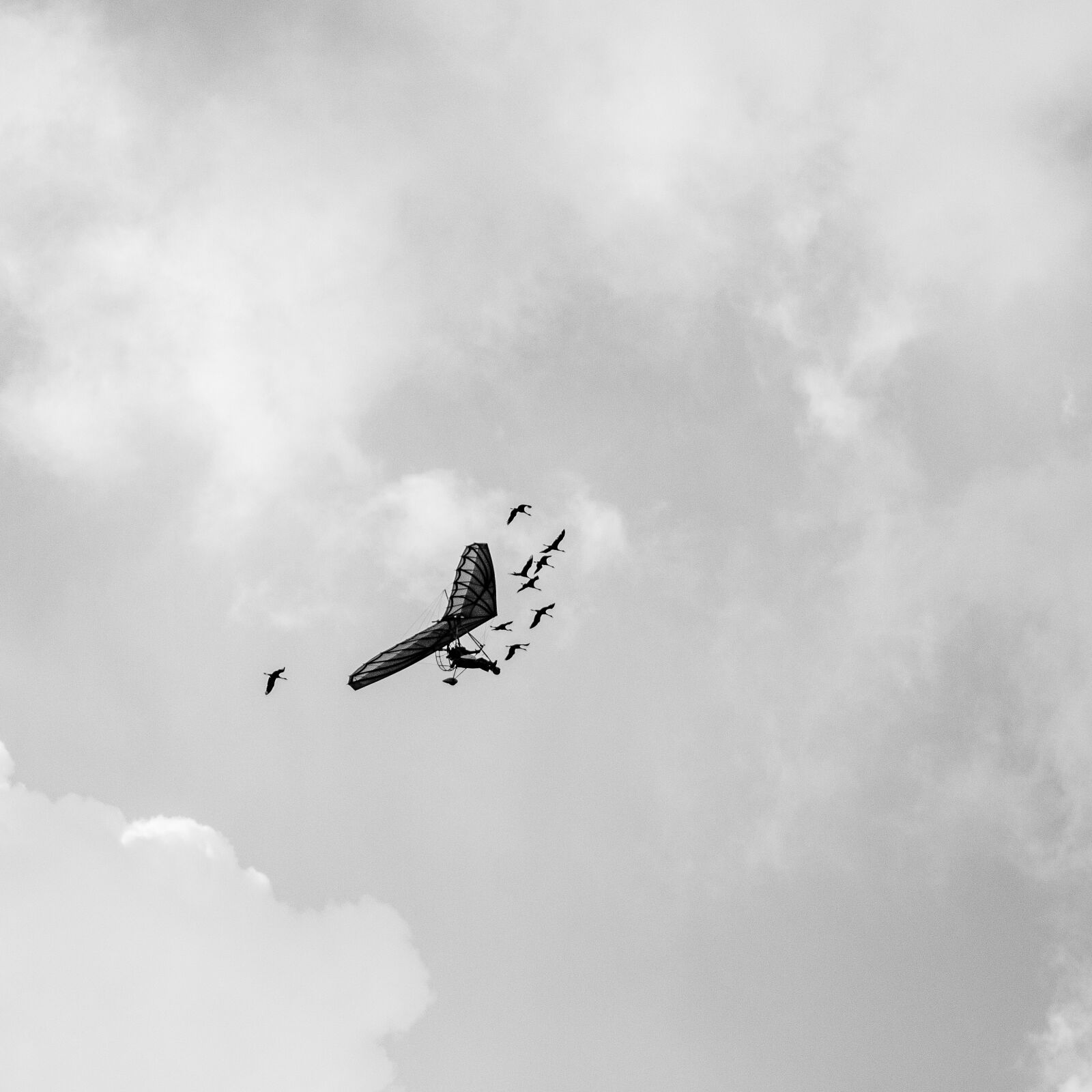Nikon D7000 sample photo. Hlm, aircraft, fly photography