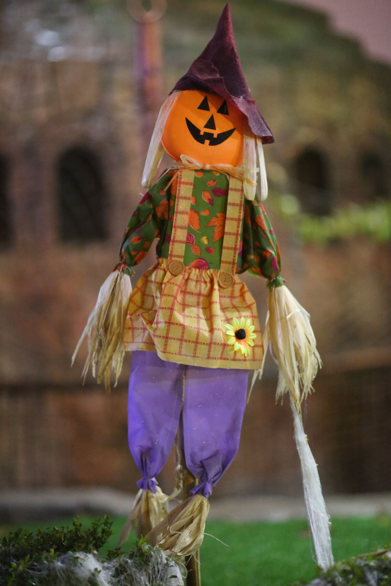 Canon EF 85mm F1.2L II USM sample photo. The scarecrow, paradise, happy photography