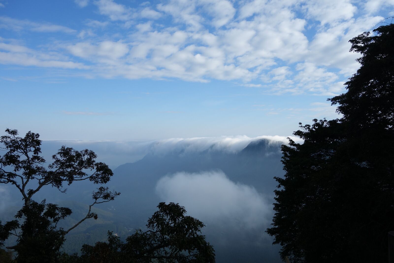 Sony Cyber-shot DSC-RX100 sample photo. Nature, a surname, taiwan photography