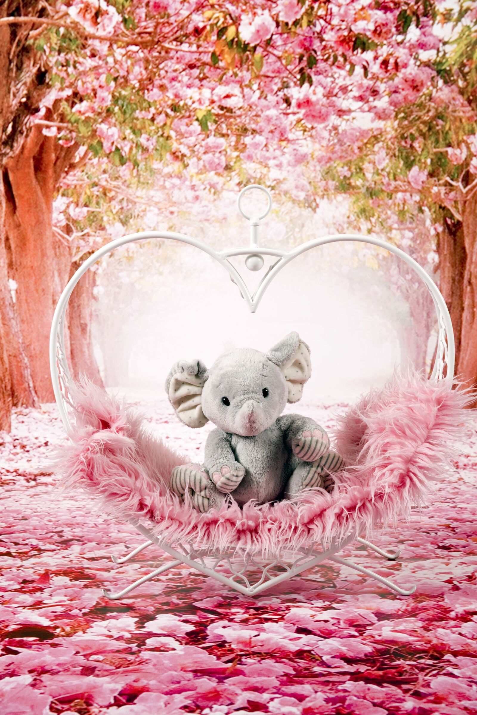 Nikon D800 sample photo. Elephant, heart, plush photography