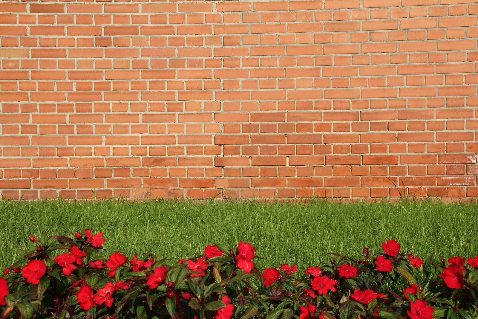 Canon EOS 600D (Rebel EOS T3i / EOS Kiss X5) sample photo. Background, wallpaper, wall photography