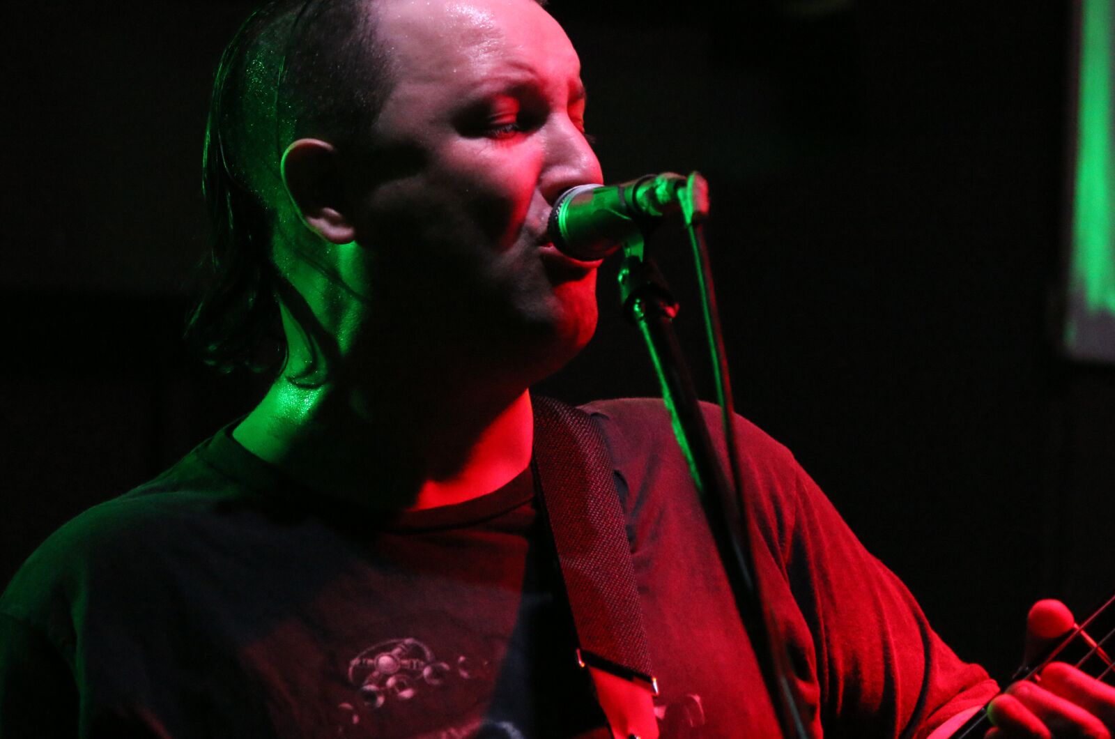 Canon EOS 70D sample photo. Artist, singer, rock photography