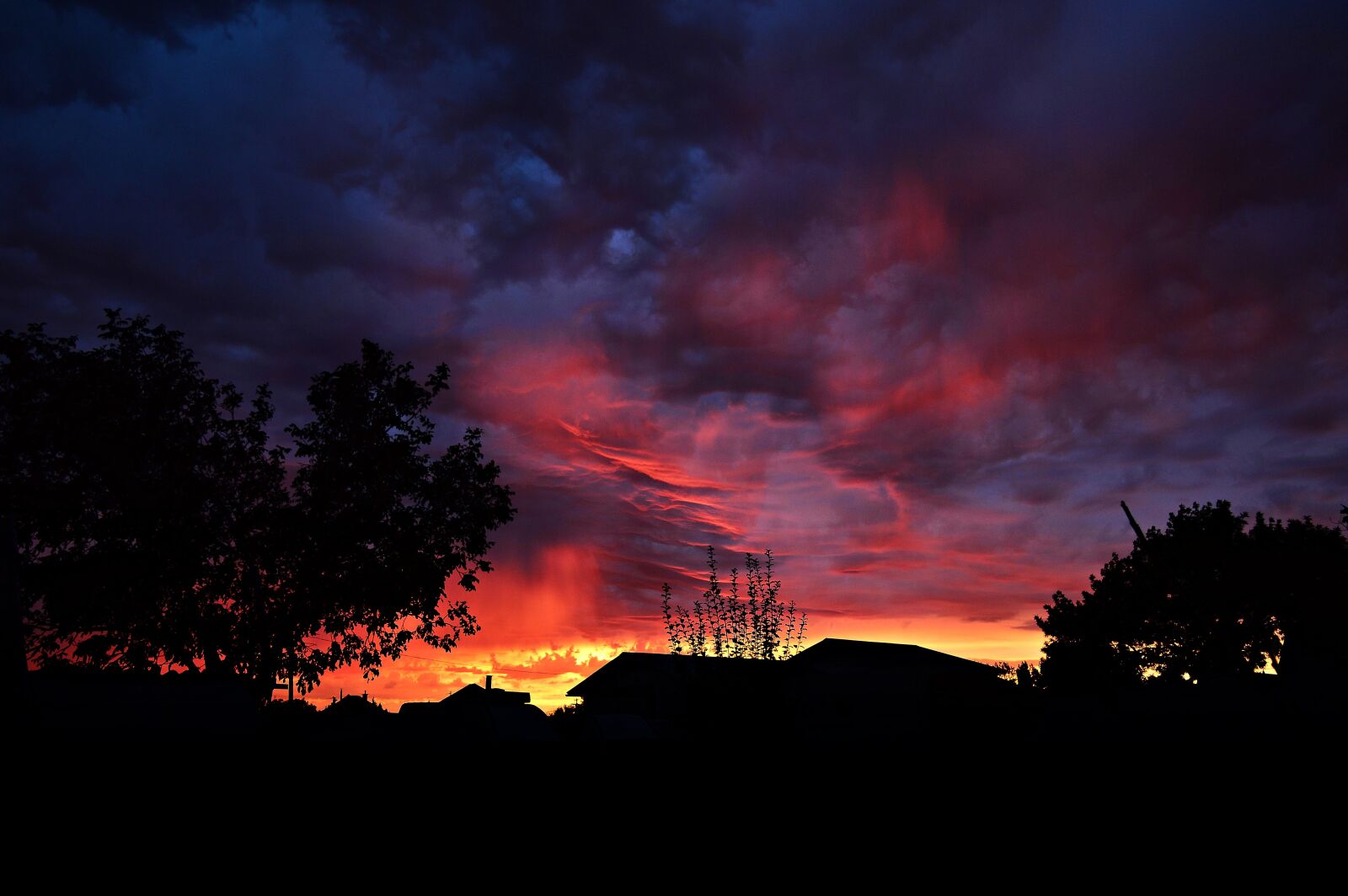 Nikon D3200 sample photo. Dusk, sunset, the gathering photography
