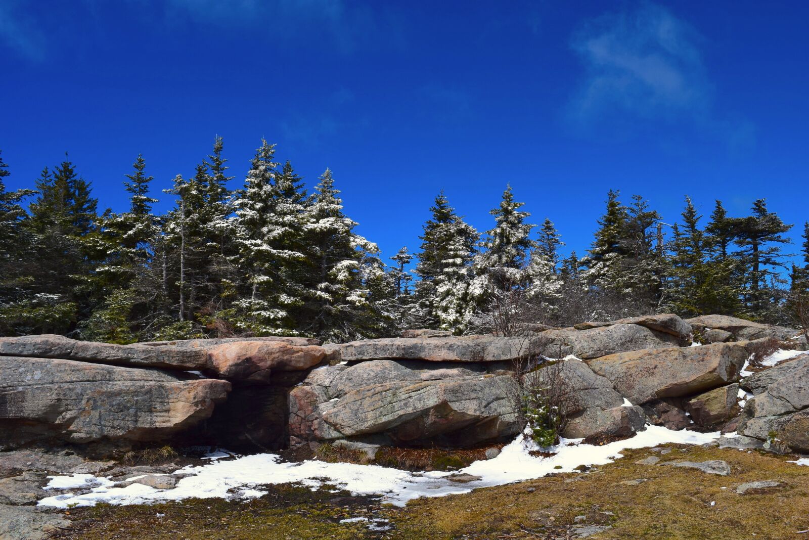 Nikon D3300 sample photo. Pine trees, sky, nature photography