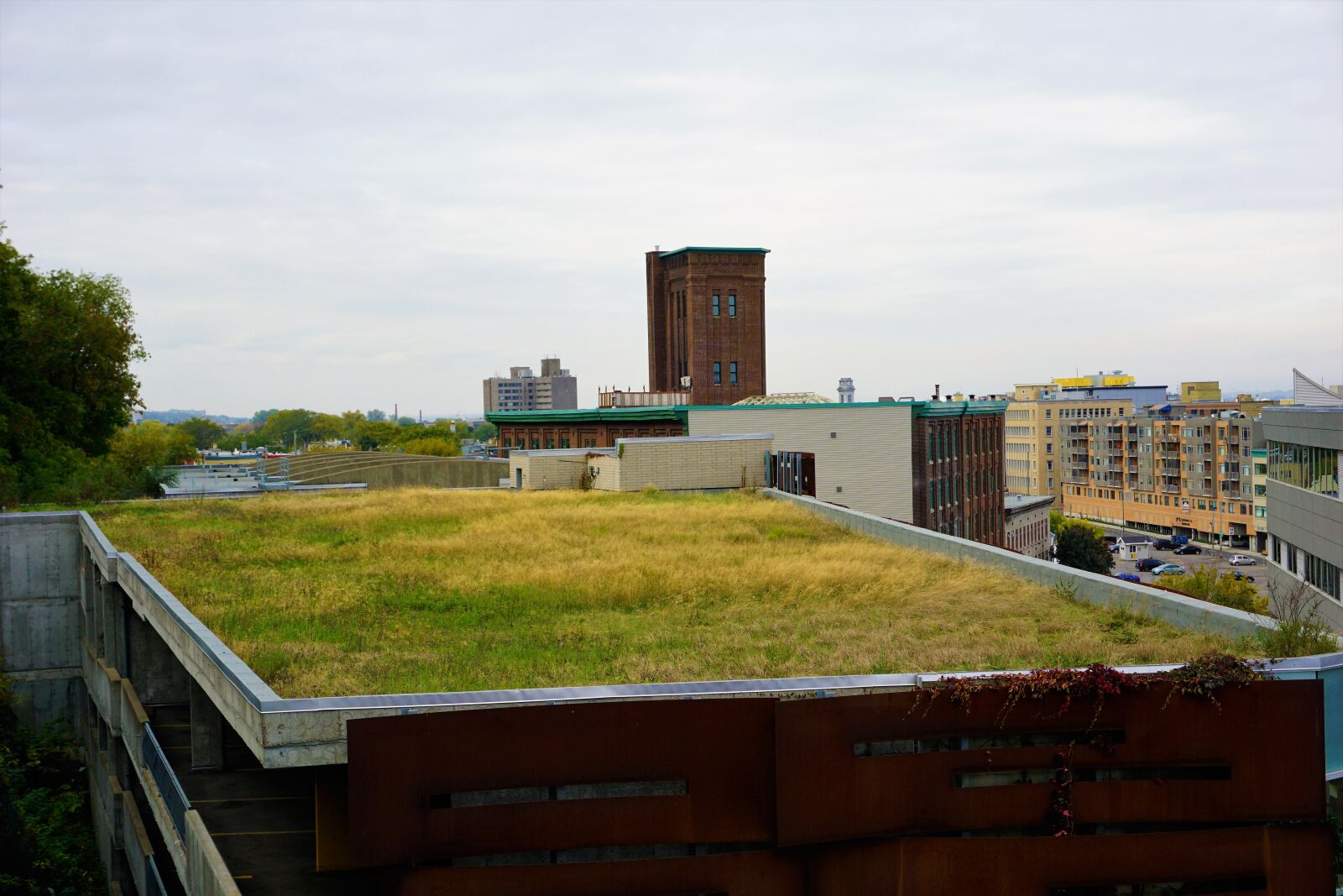 Sony a6000 sample photo. Grass, roof photography