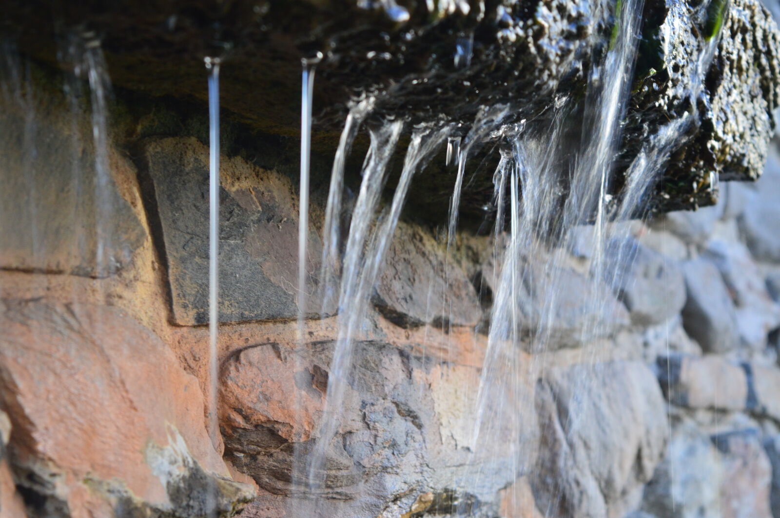 Nikon D3200 sample photo