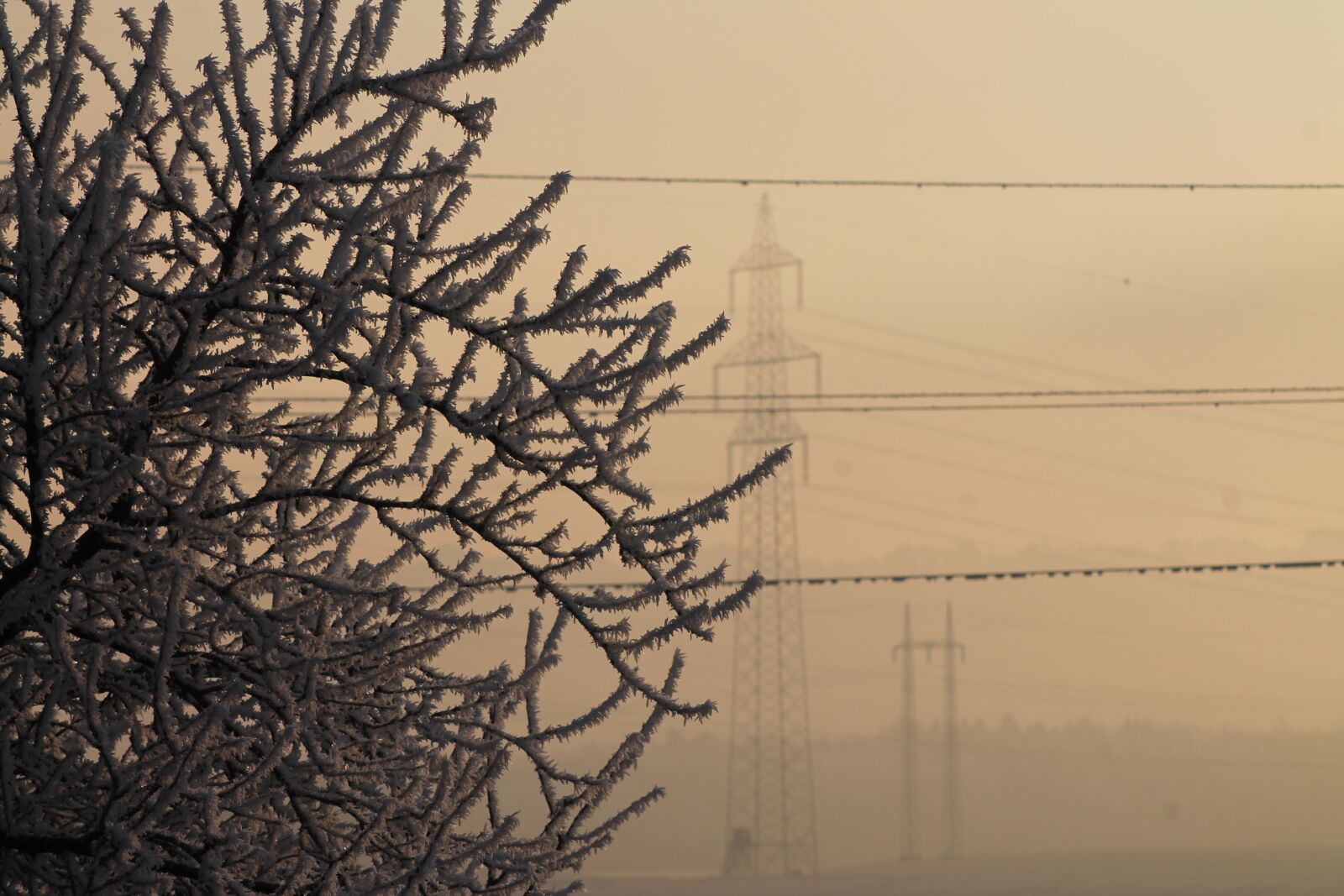 Canon EOS 1100D (EOS Rebel T3 / EOS Kiss X50) sample photo. Fog, winter, frozen photography
