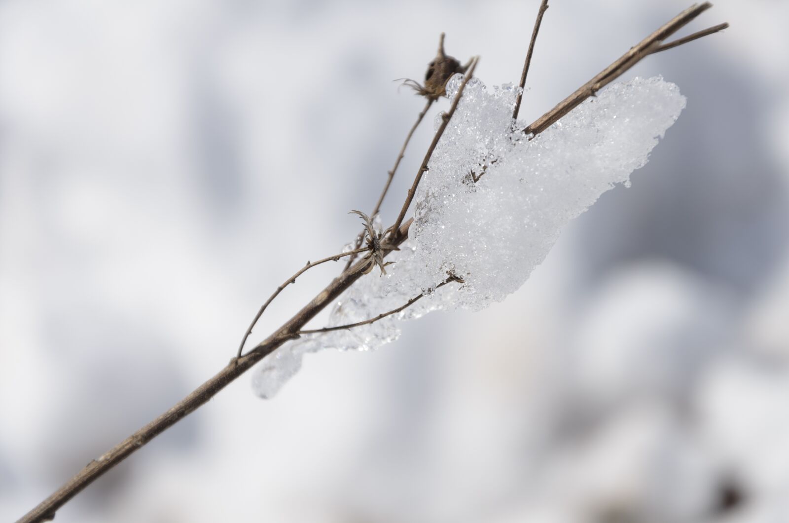 Nikon D7000 sample photo. Snow, nevada, winter photography