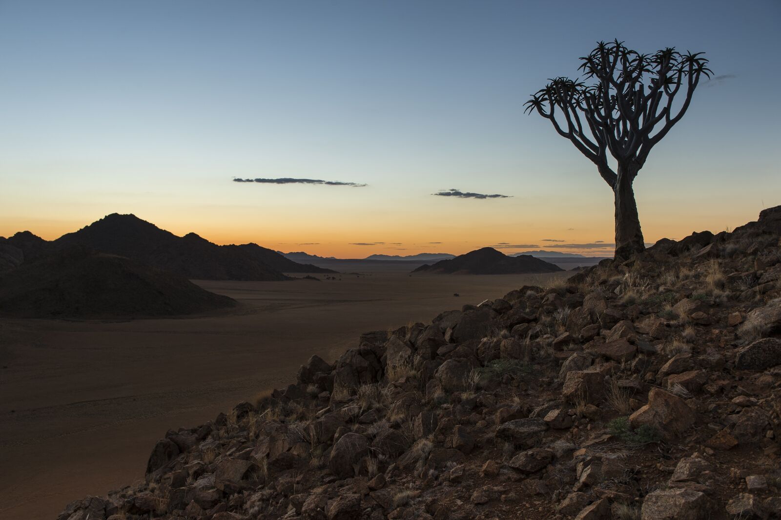 Nikon D4 sample photo. Namibia, quiver tree, sunset photography