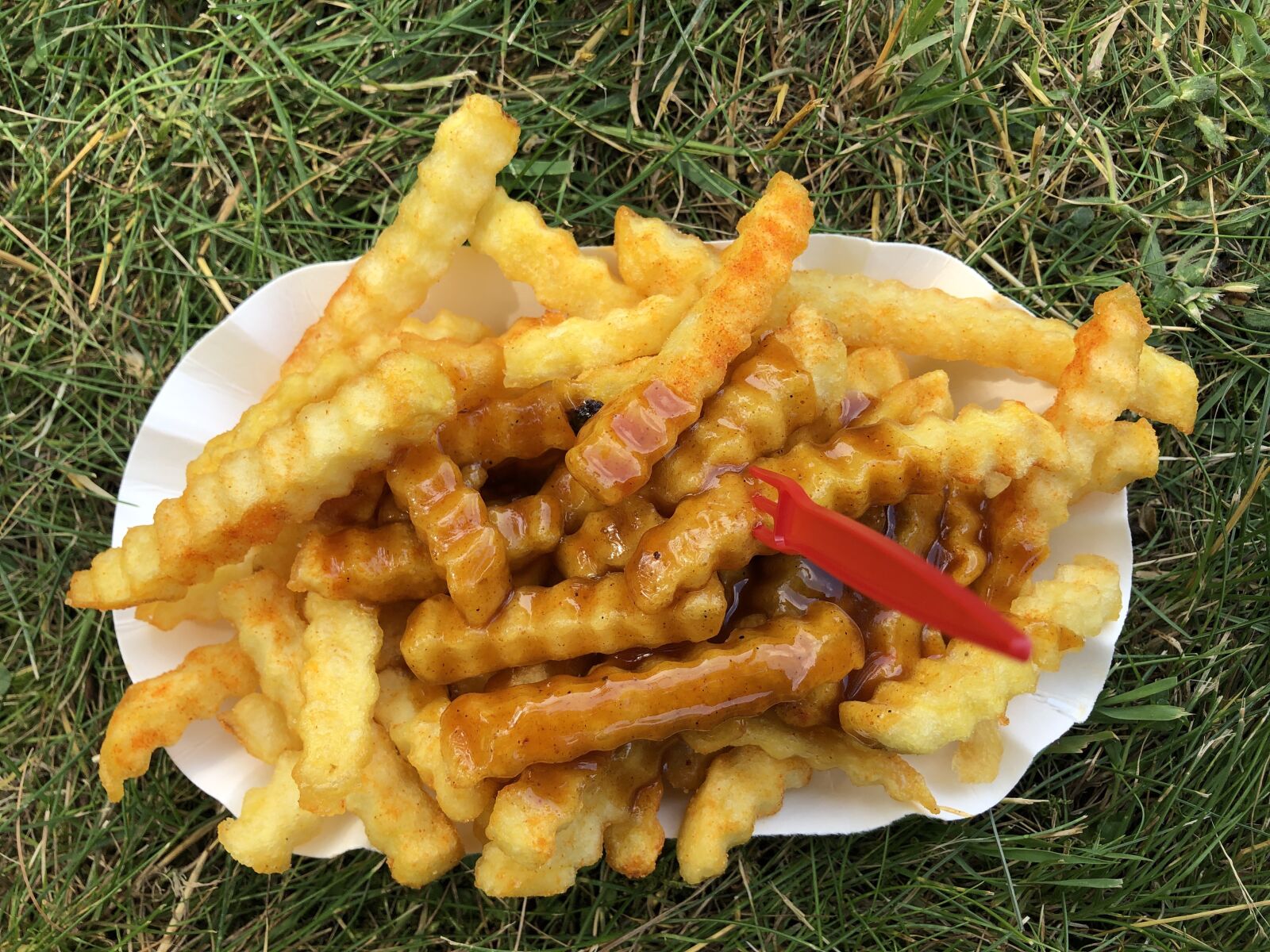 iPhone 8 back camera 3.99mm f/1.8 sample photo. French fries, snack, frits photography