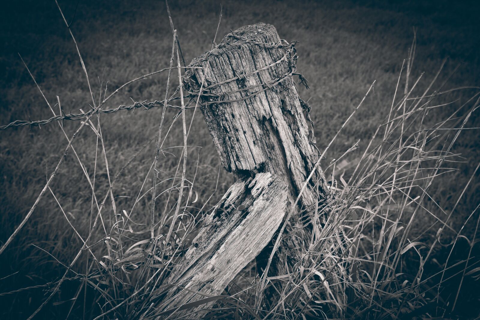 Nikon D3300 sample photo. Landscape, fence, field photography