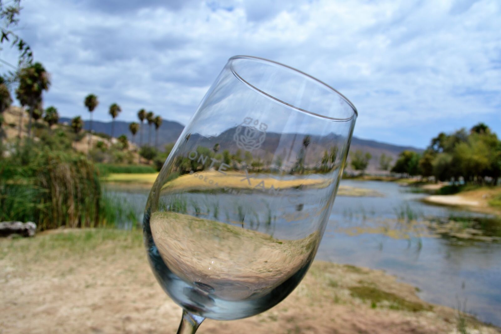 Nikon D3100 sample photo. Monte, xanic, wine, wine photography