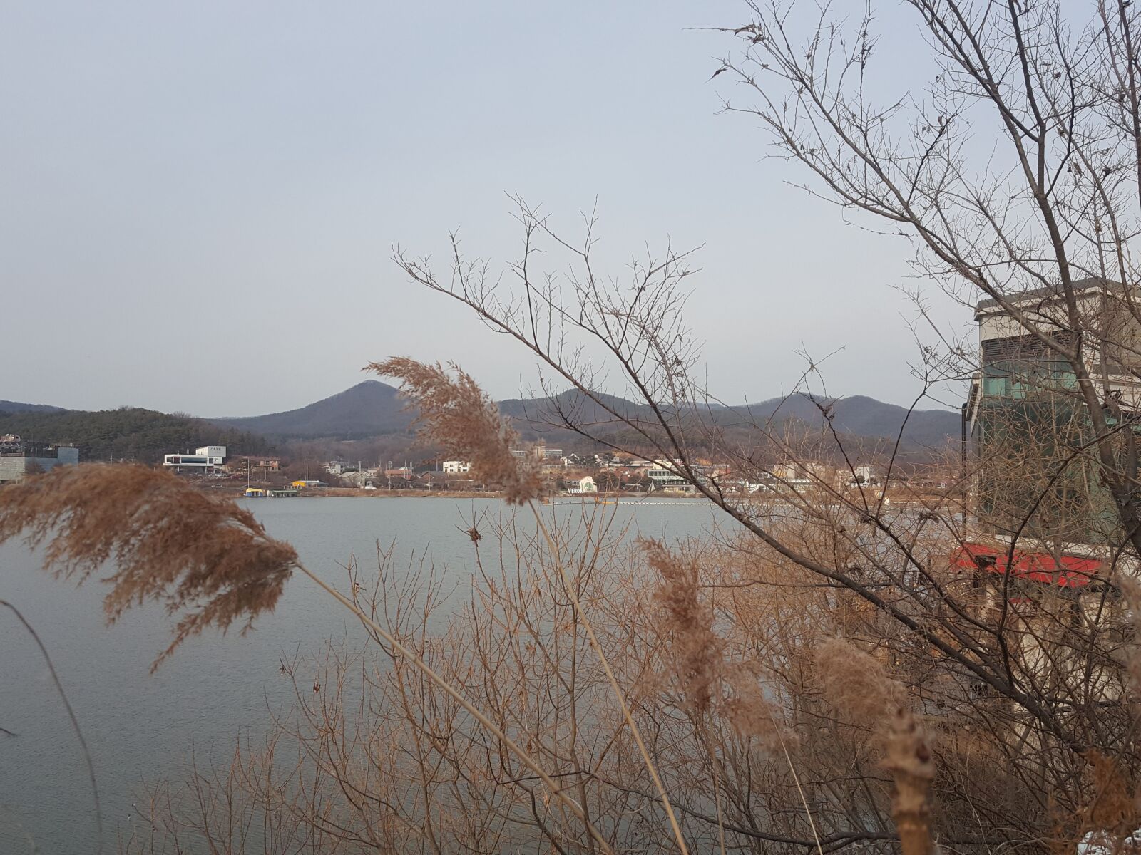 Samsung Galaxy Note5 sample photo. Autumn, reed, lake photography
