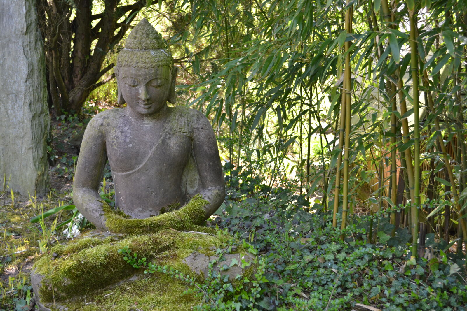 Nikon D3100 sample photo. Buddha, green, mevrouw, s photography