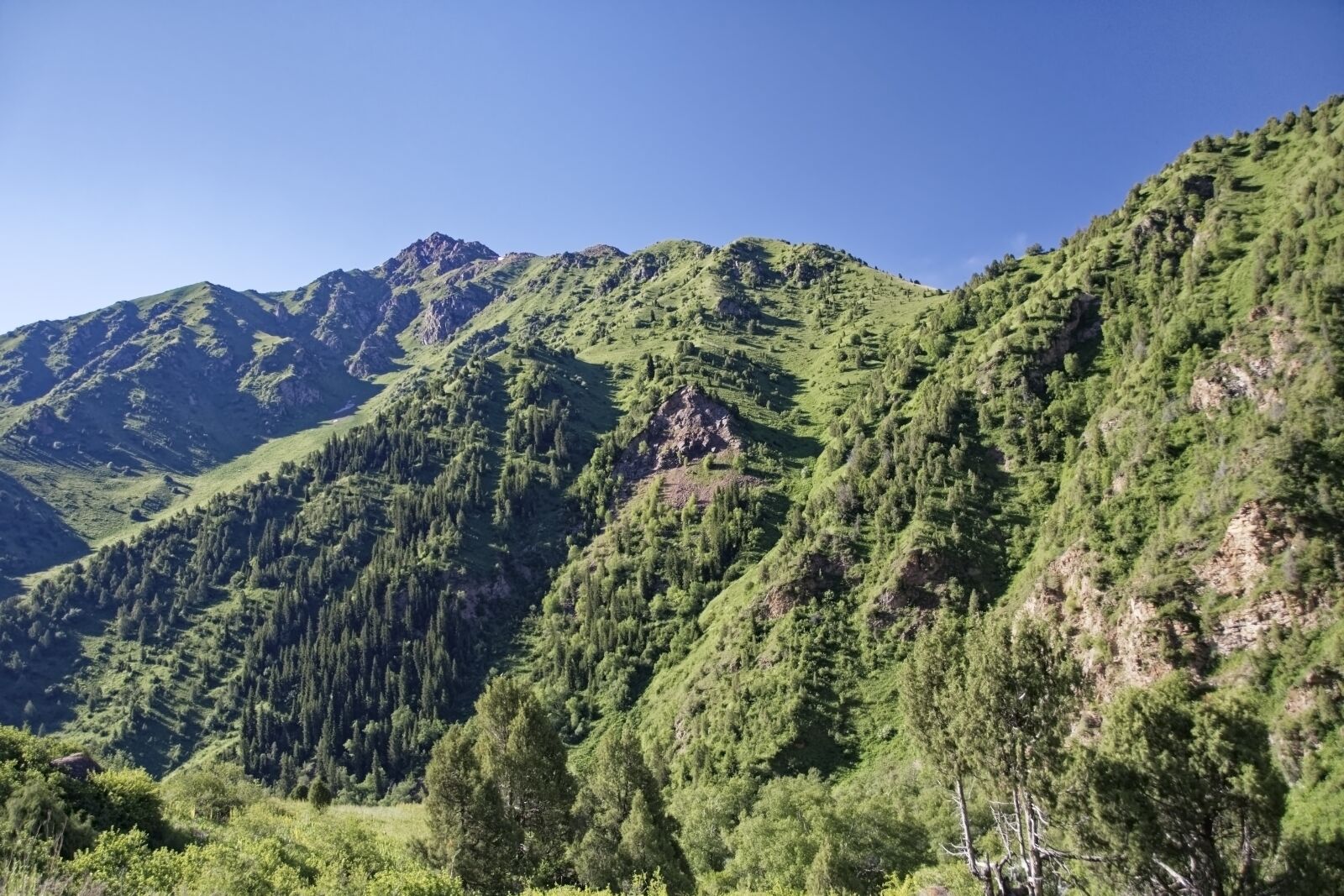 Nikon D500 sample photo. Kyrgyzstan, chychkan valley, tschytschkan photography