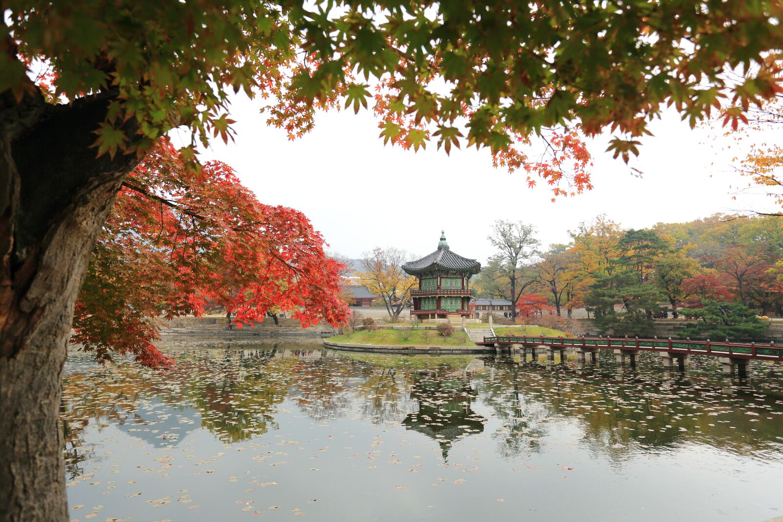 Canon EOS 5D Mark III + Canon EF 17-40mm F4L USM sample photo. Gyeongbok palace, towards the photography