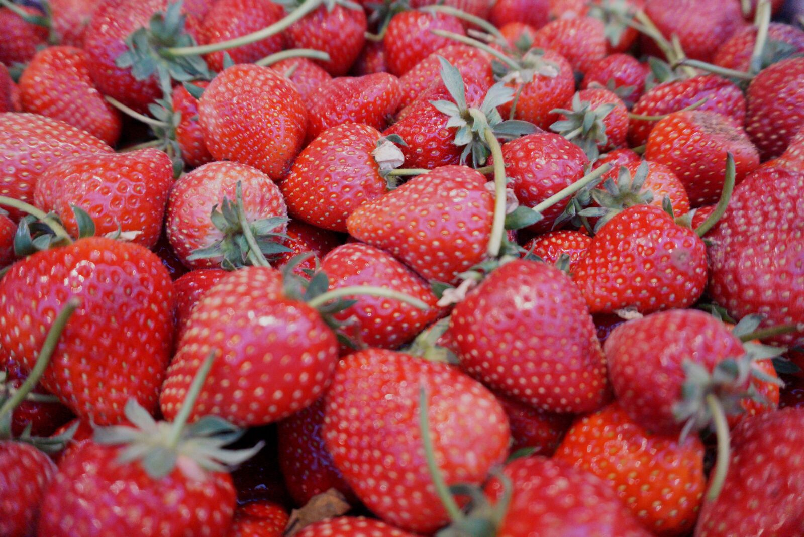 Sony a6000 sample photo. Strawberry, fruit, strawberries photography