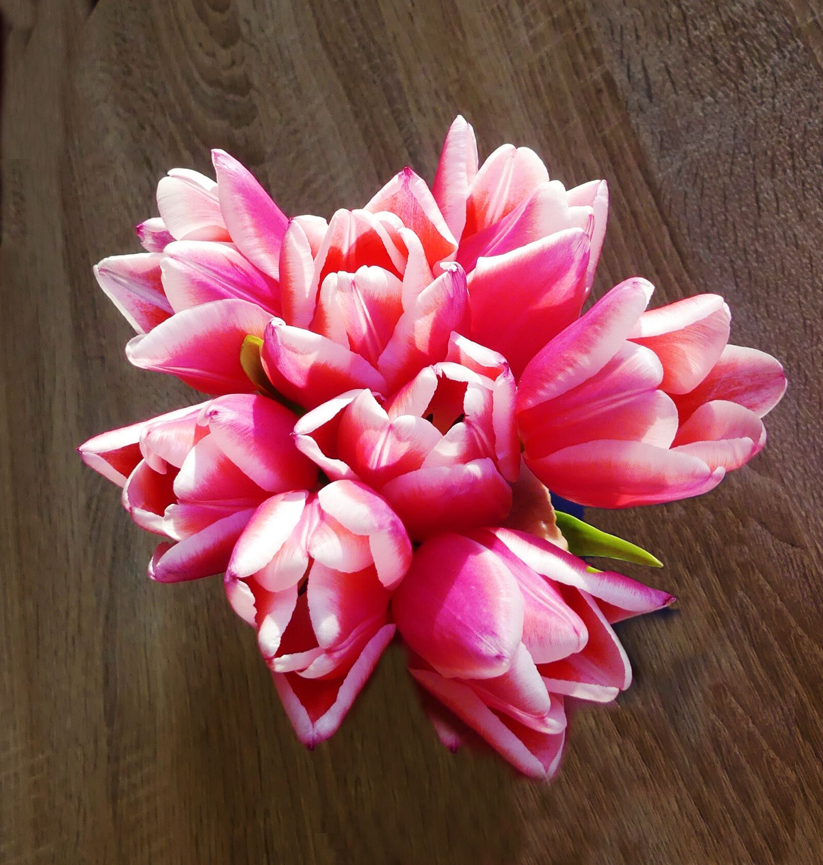 Panasonic Lumix DMC-FZ300 sample photo. Tulip bouquet, close up photography