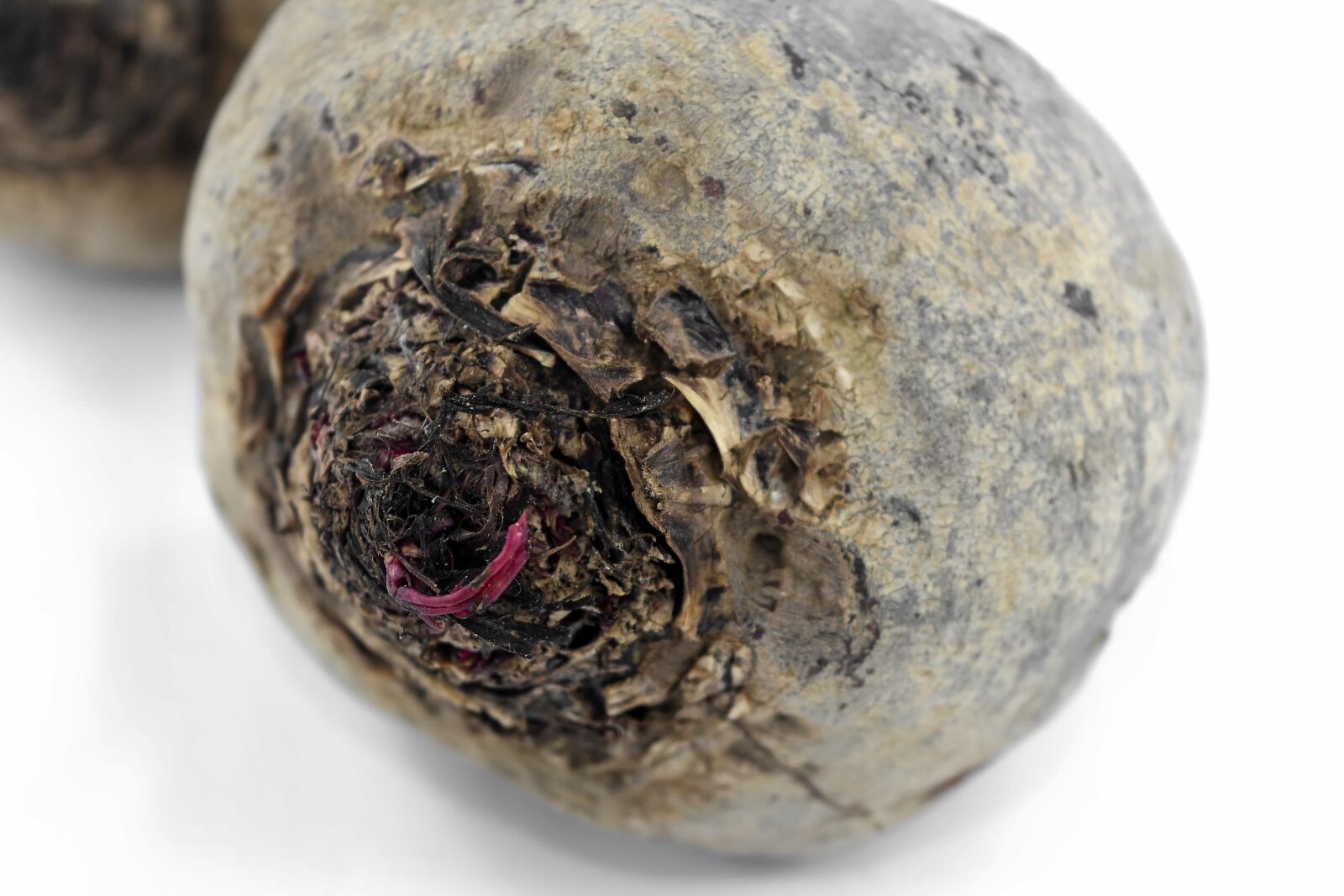 Nikon D5500 sample photo. Agriculture, antioxidant, beetroot, carbohydrate photography