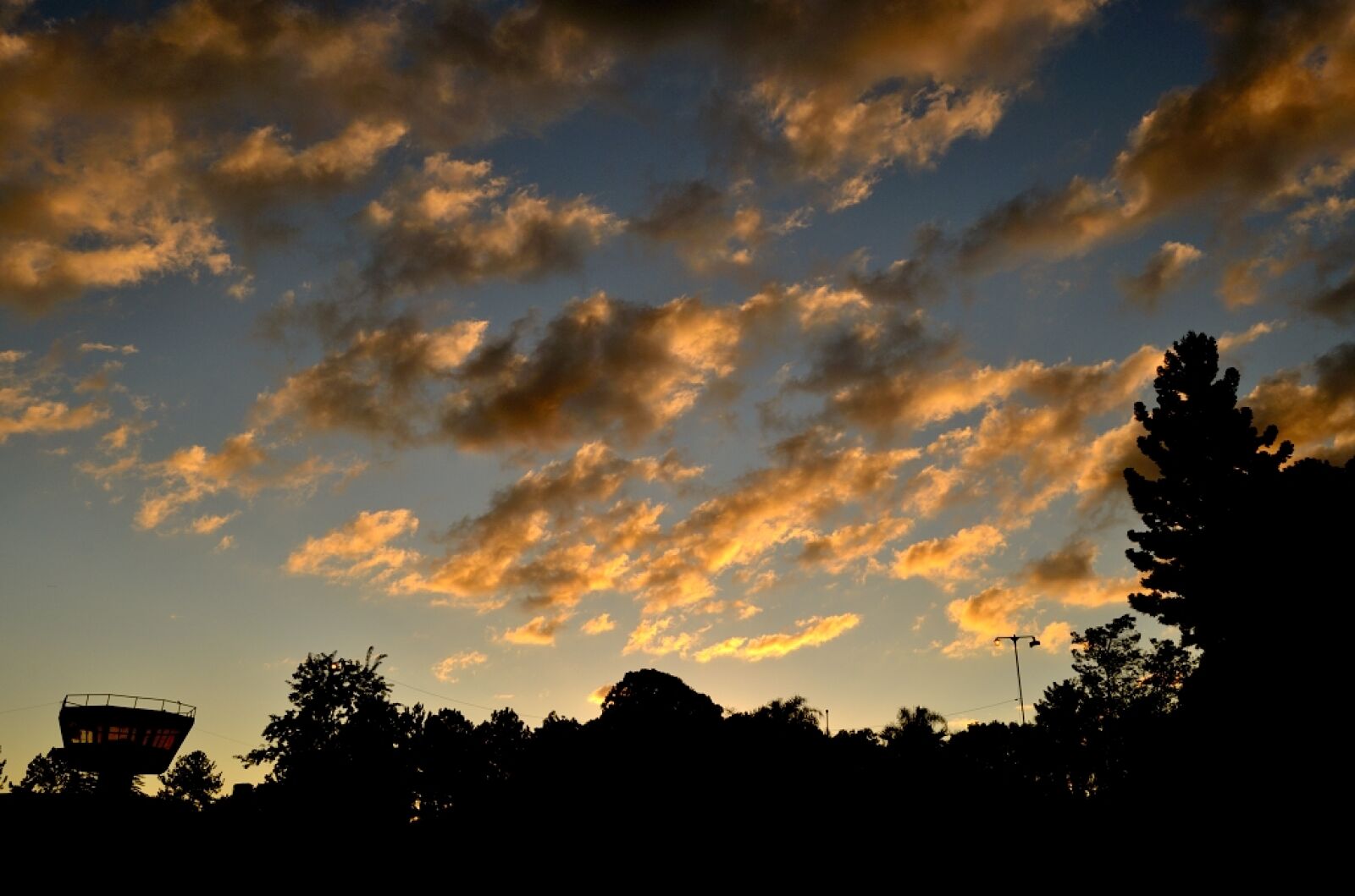 Nikon D5100 sample photo