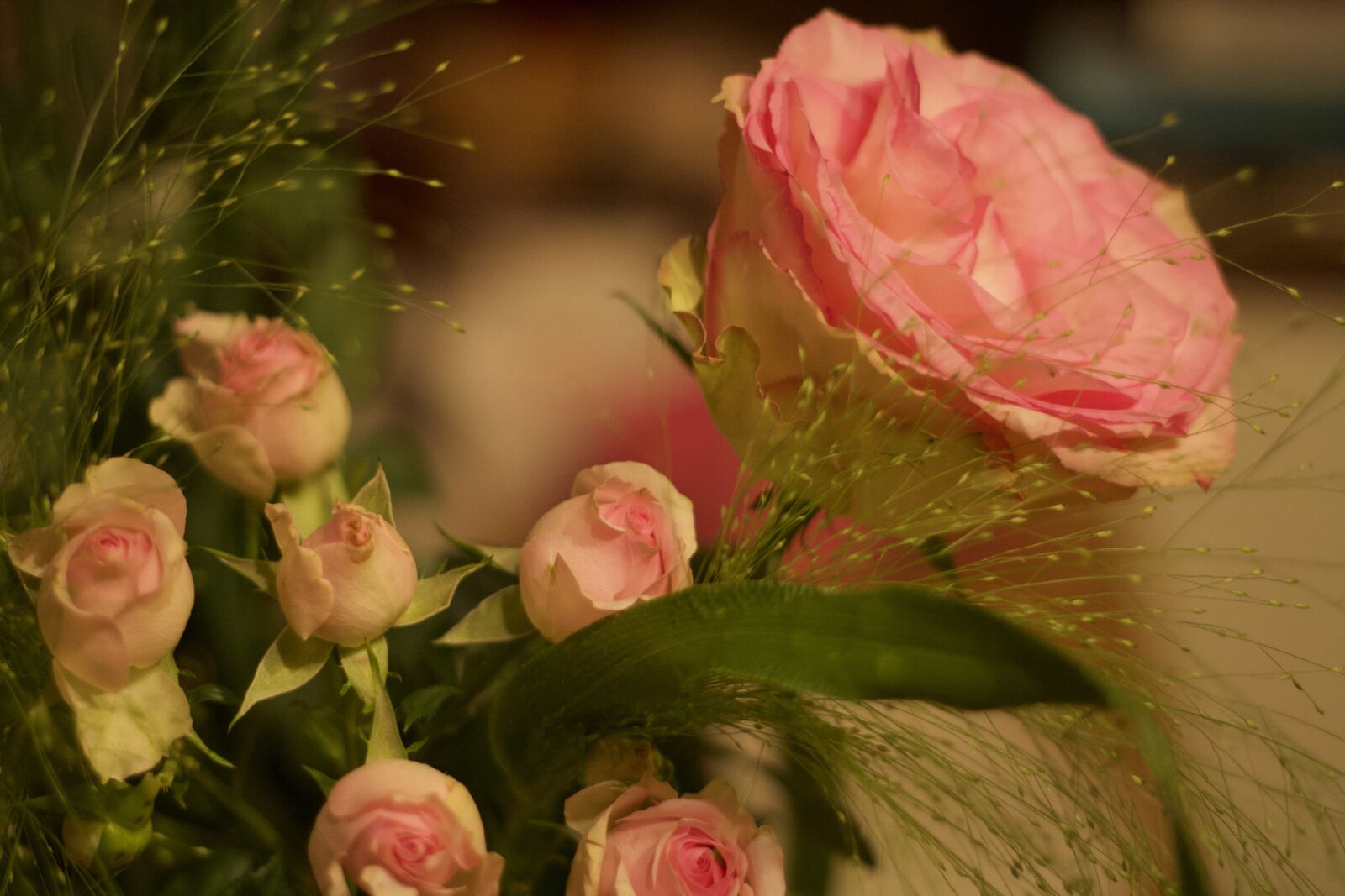 Canon EOS 1000D (EOS Digital Rebel XS / EOS Kiss F) sample photo. Roses, flowers, bouquet photography