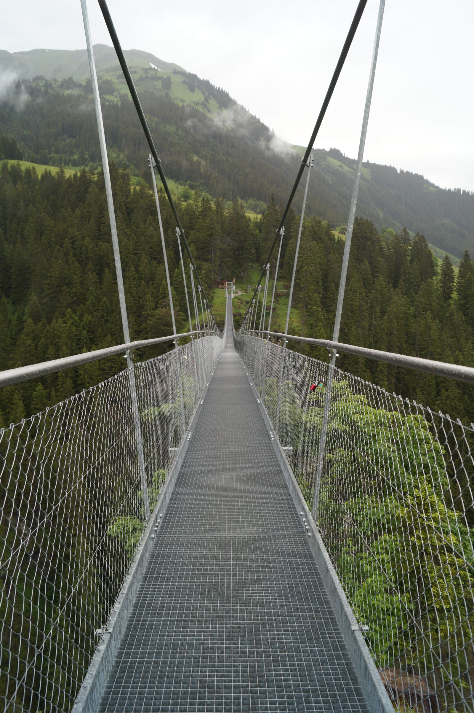 Sony SLT-A58 sample photo. Valley, suspension bridge, vacations photography