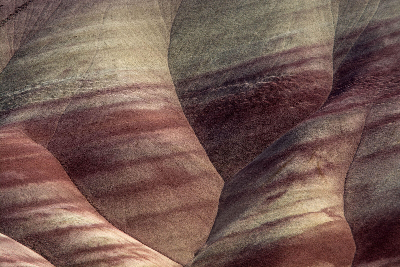 Nikon D5200 sample photo