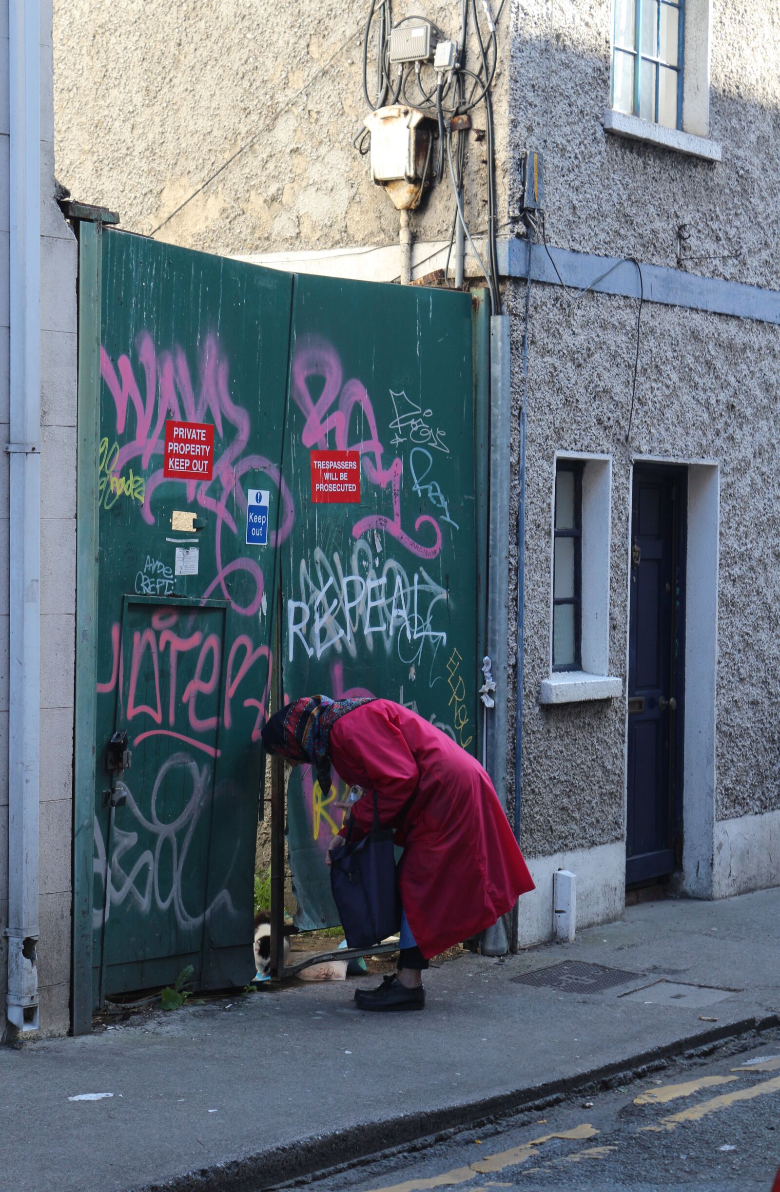 Canon EOS 650D (EOS Rebel T4i / EOS Kiss X6i) sample photo. Dublin, ireland, old woman photography