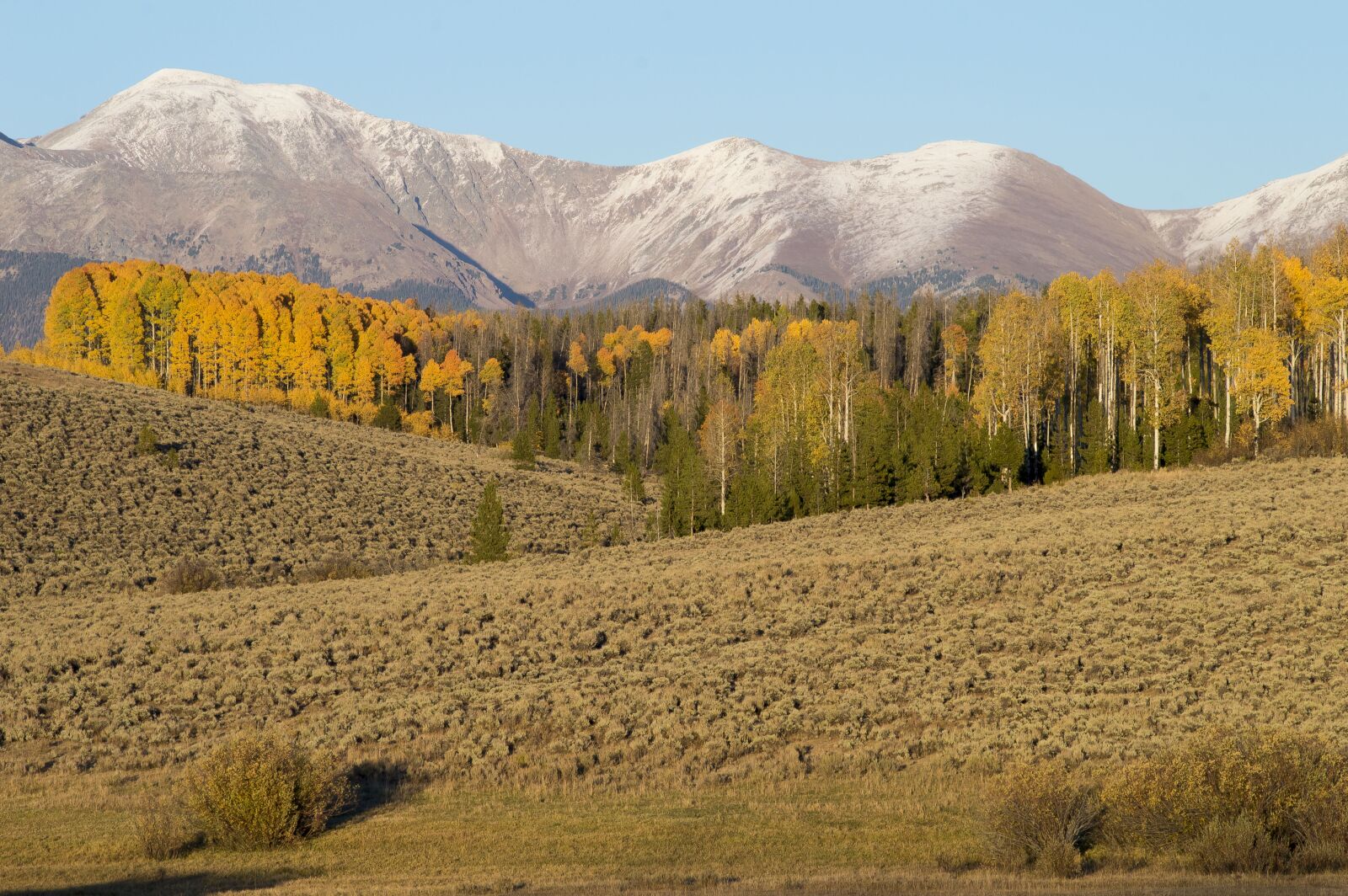Nikon D3200 sample photo. Mountains, trees, forest photography