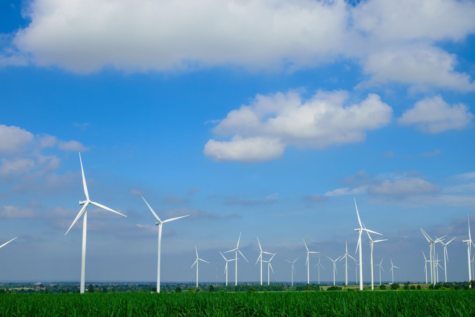 Nikon D5500 sample photo. Fields of wind turbines photography