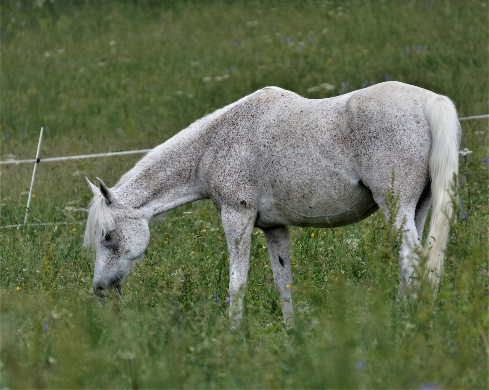 Nikon D5100 sample photo. Main and state stud photography