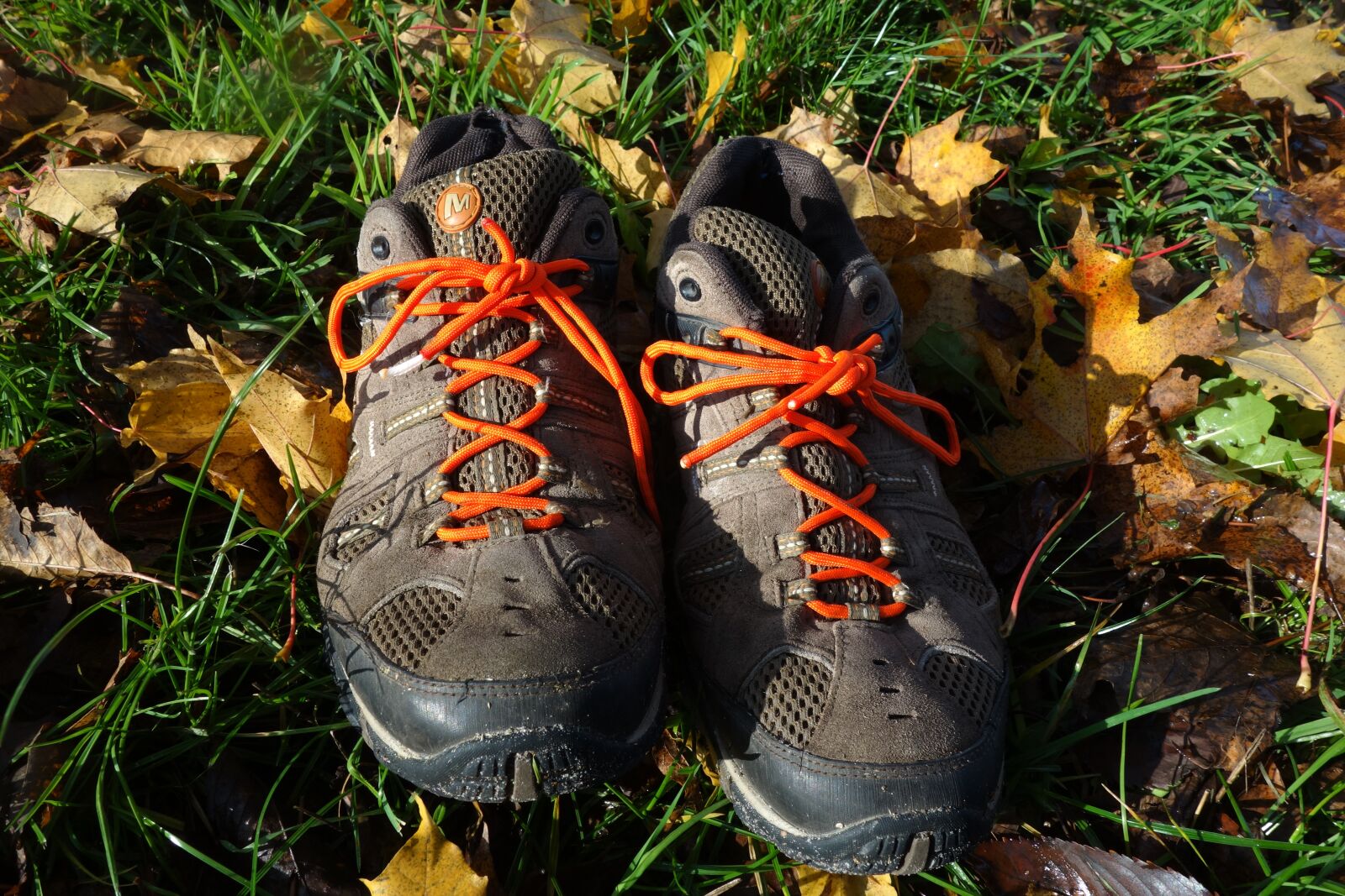 Sony Cyber-shot DSC-RX100 sample photo. Shoes, leaves, shoe photography
