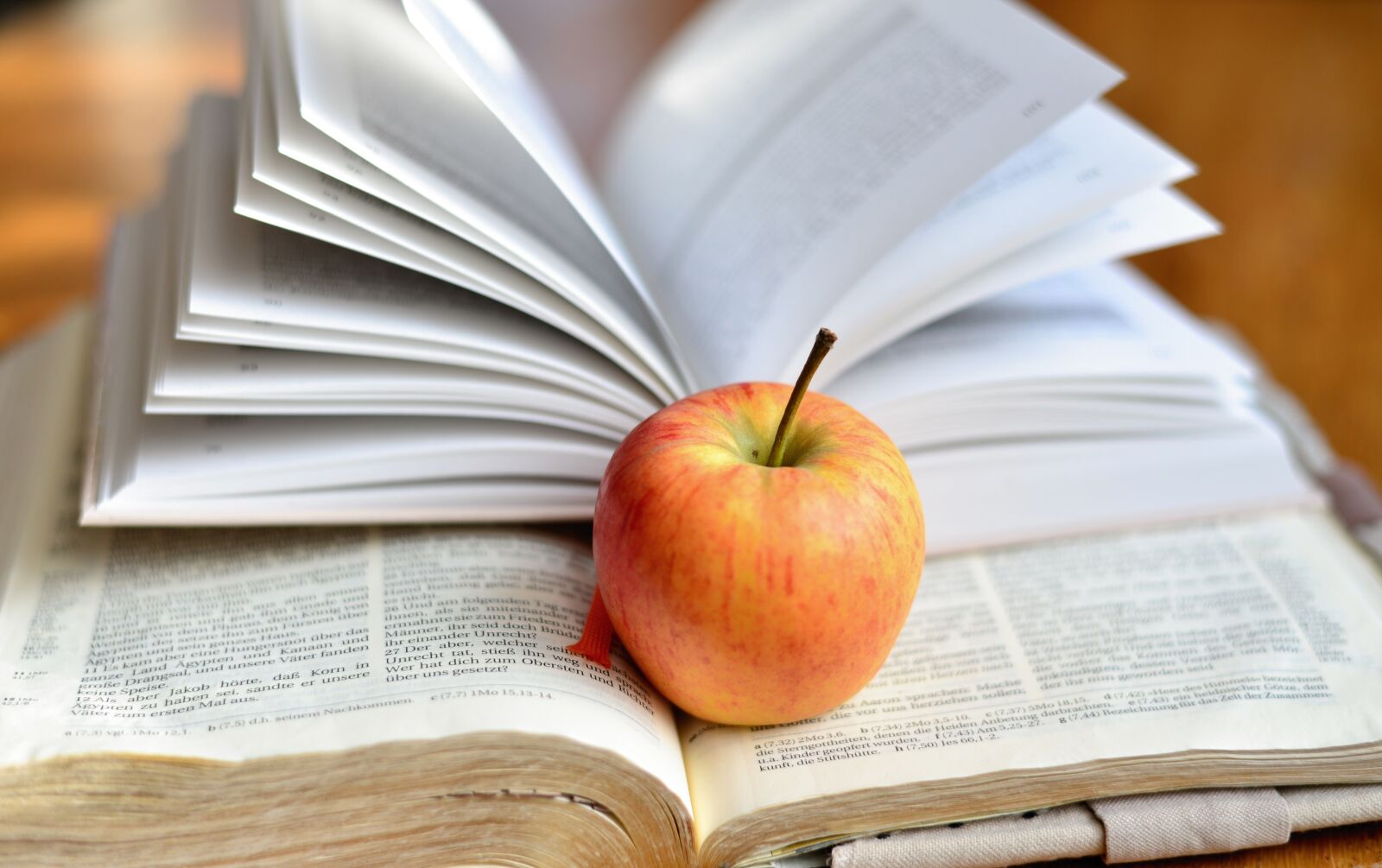 Nikon D610 sample photo. Book, read, bible photography