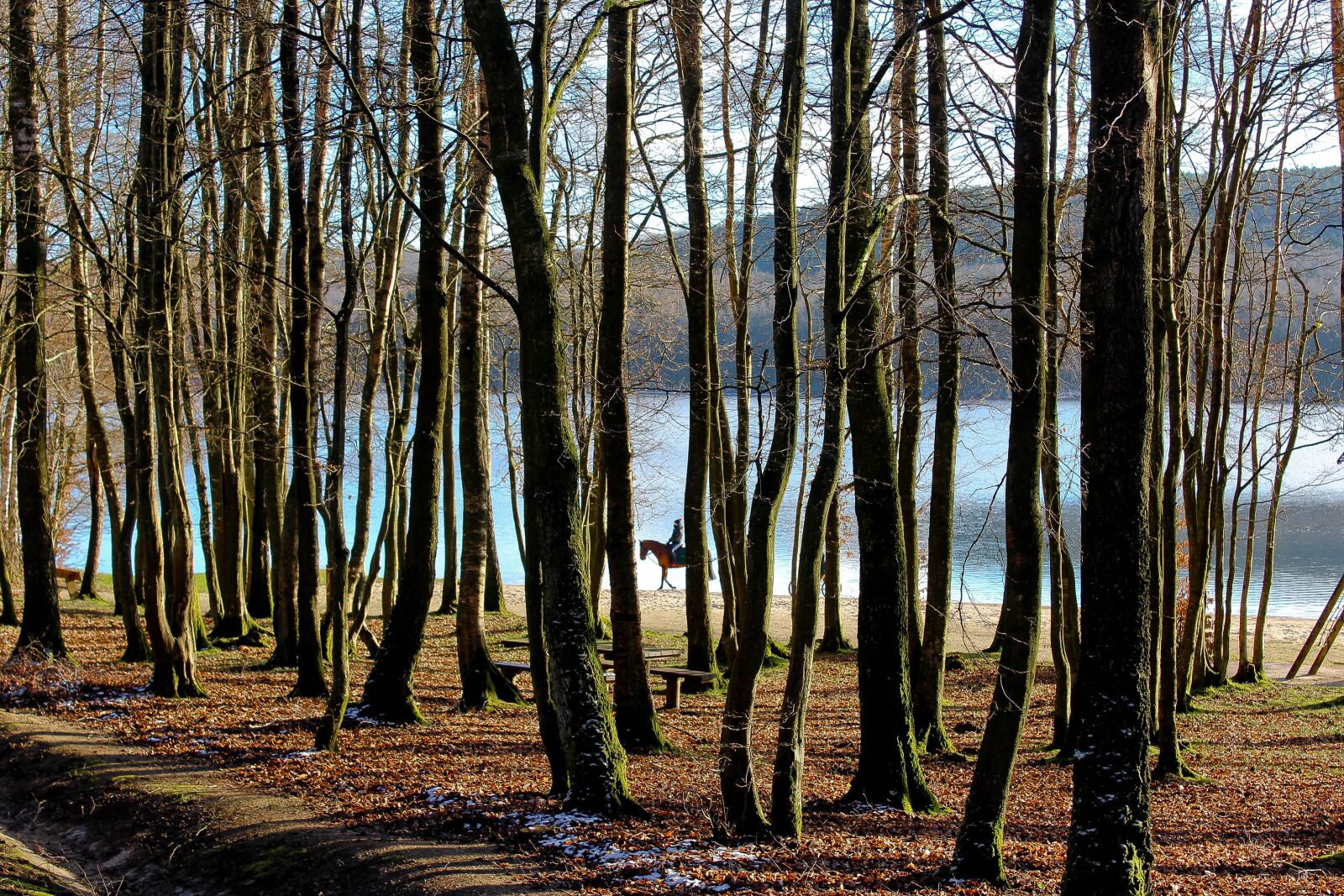 Canon EOS 1200D (EOS Rebel T5 / EOS Kiss X70 / EOS Hi) sample photo. Nature, lake, france photography