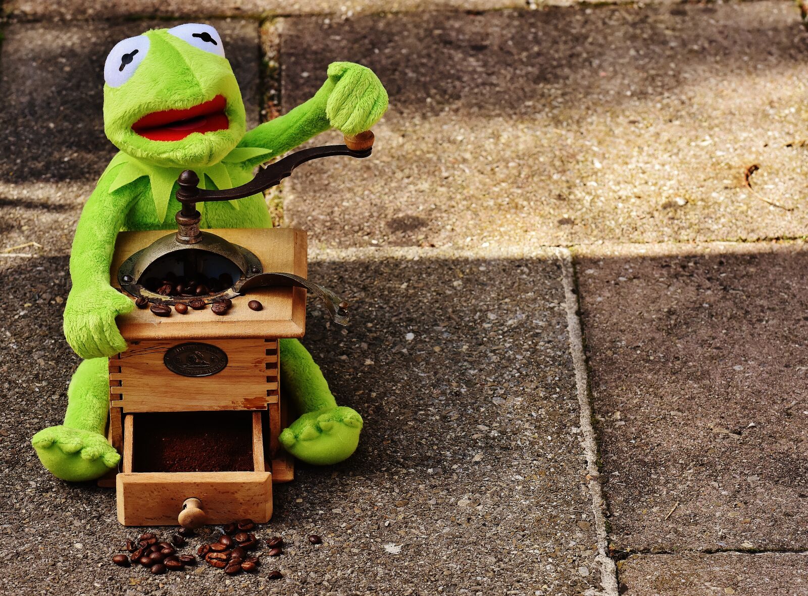 Nikon D7200 sample photo. Kermit, frog, grinder photography